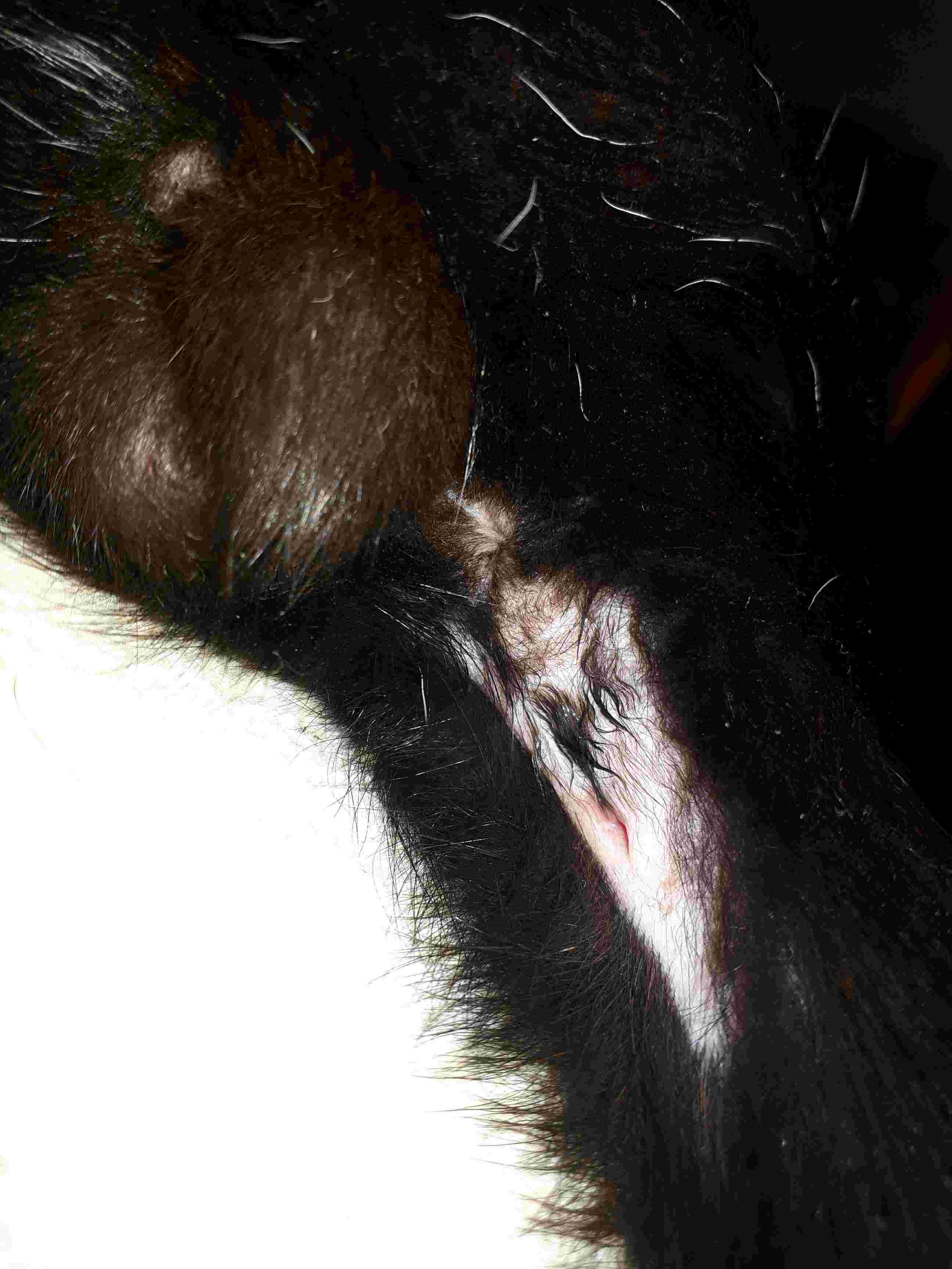 Question details sensitive content