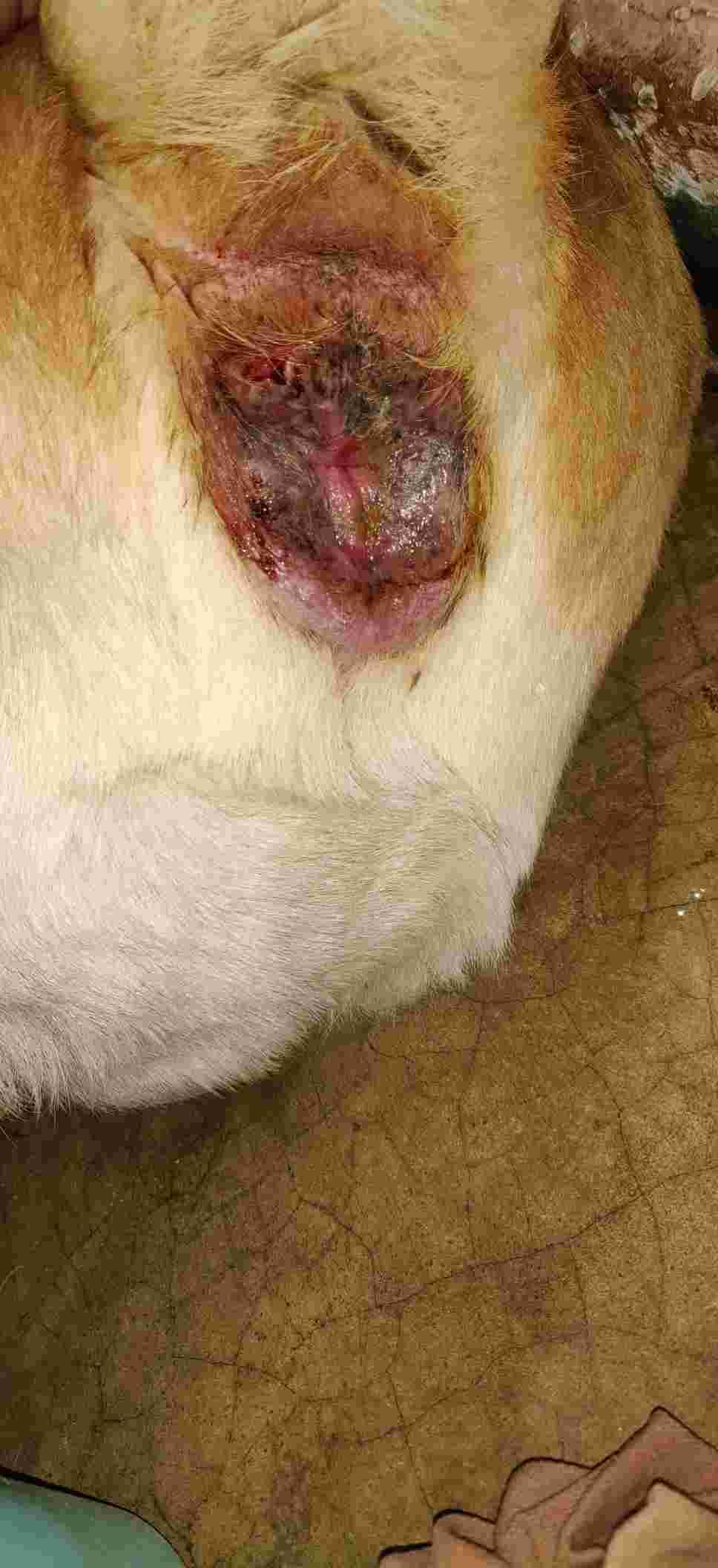 Question details sensitive content