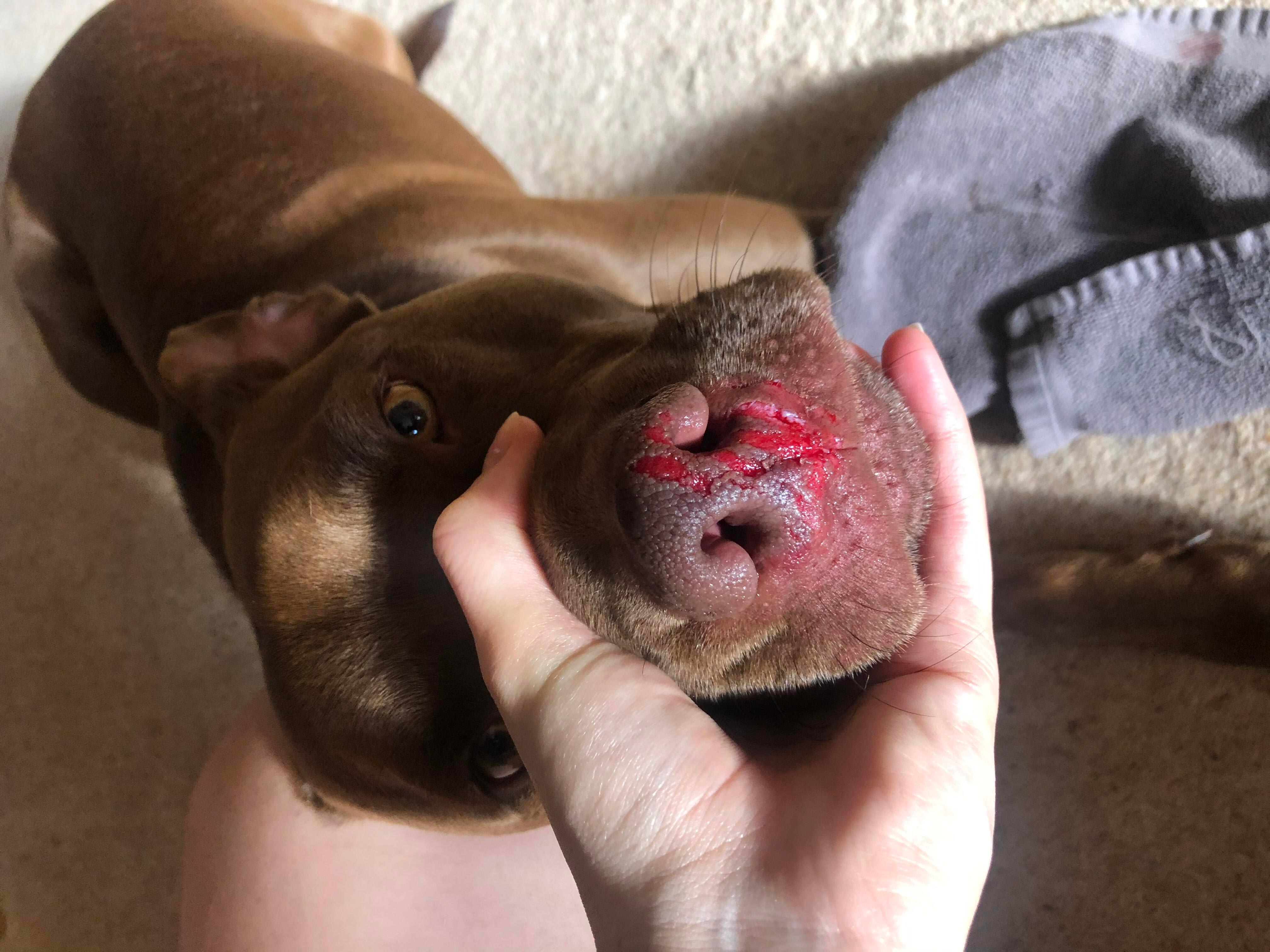 Question details sensitive content