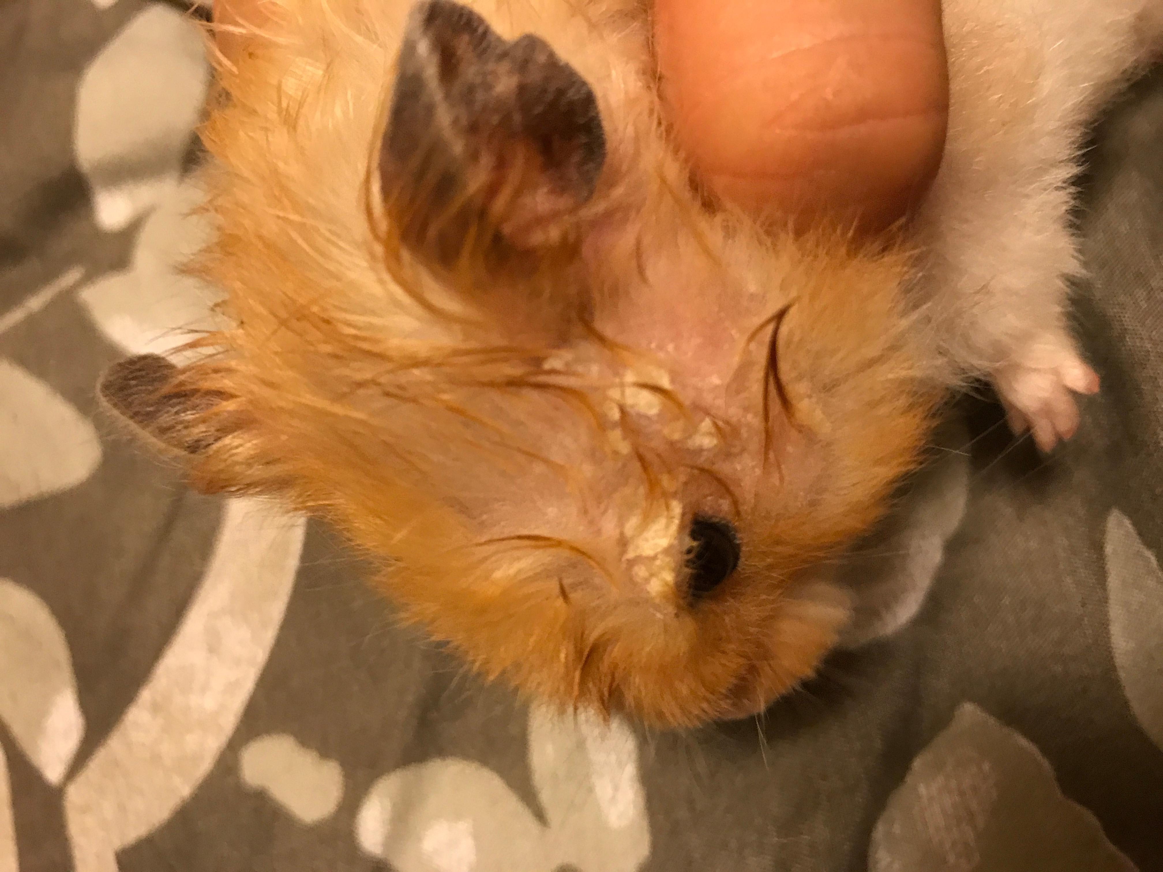 Question details sensitive content