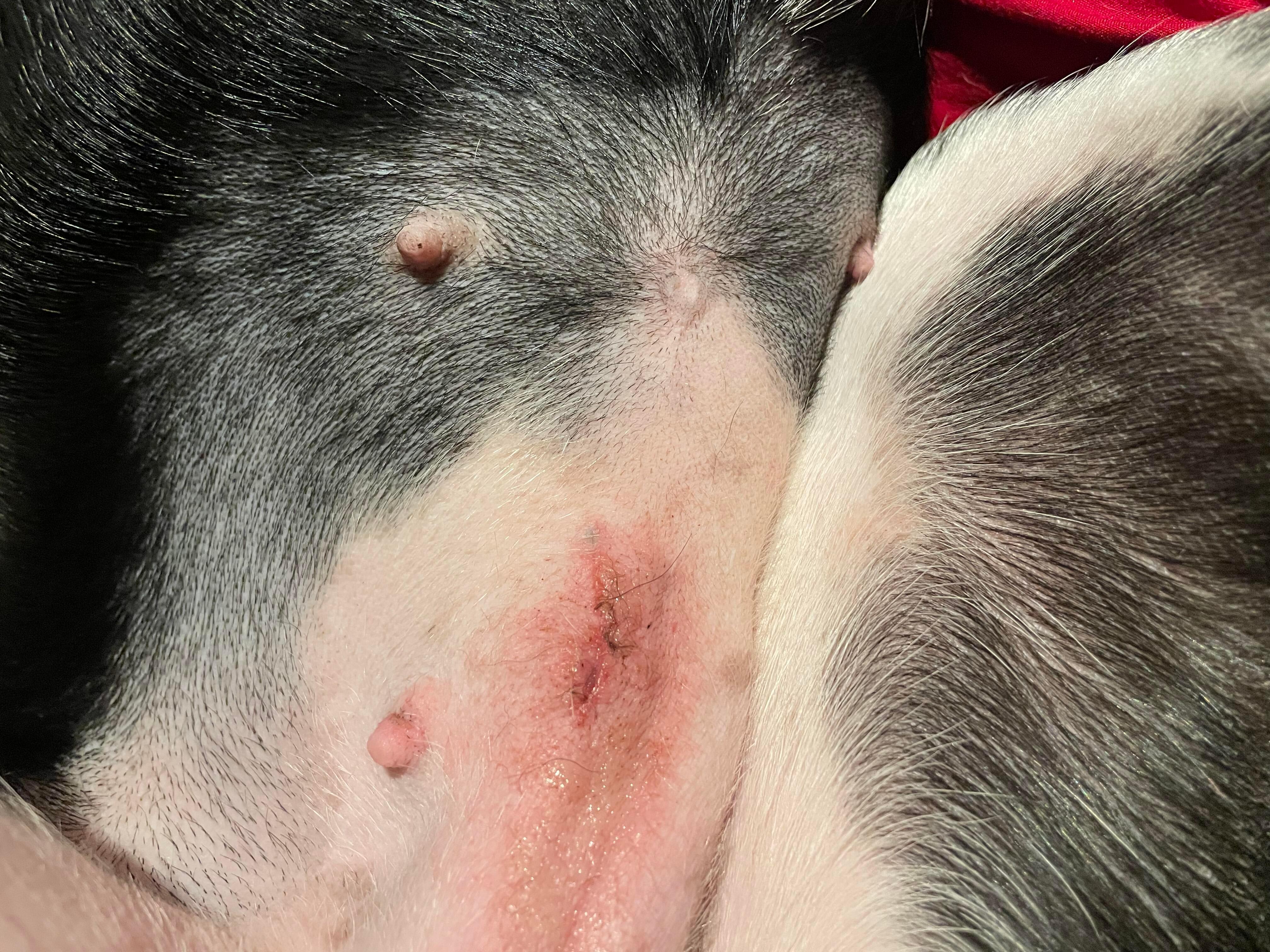 Question details sensitive content