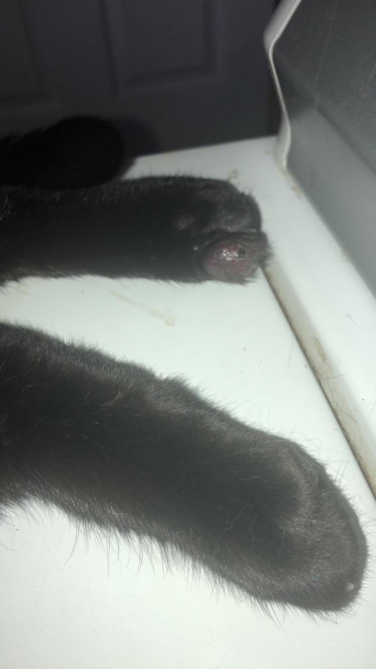 Question details sensitive content