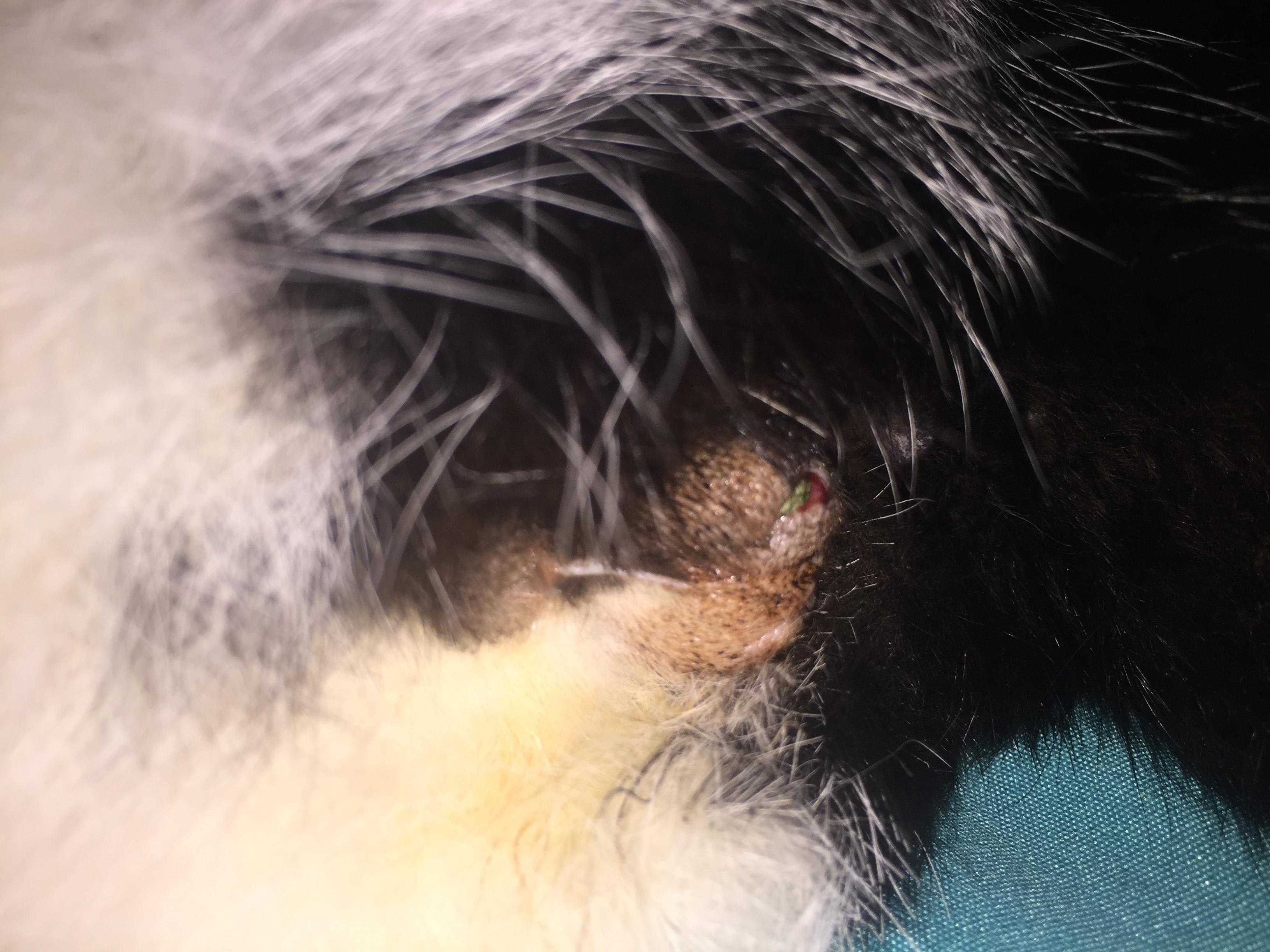 Question details sensitive content