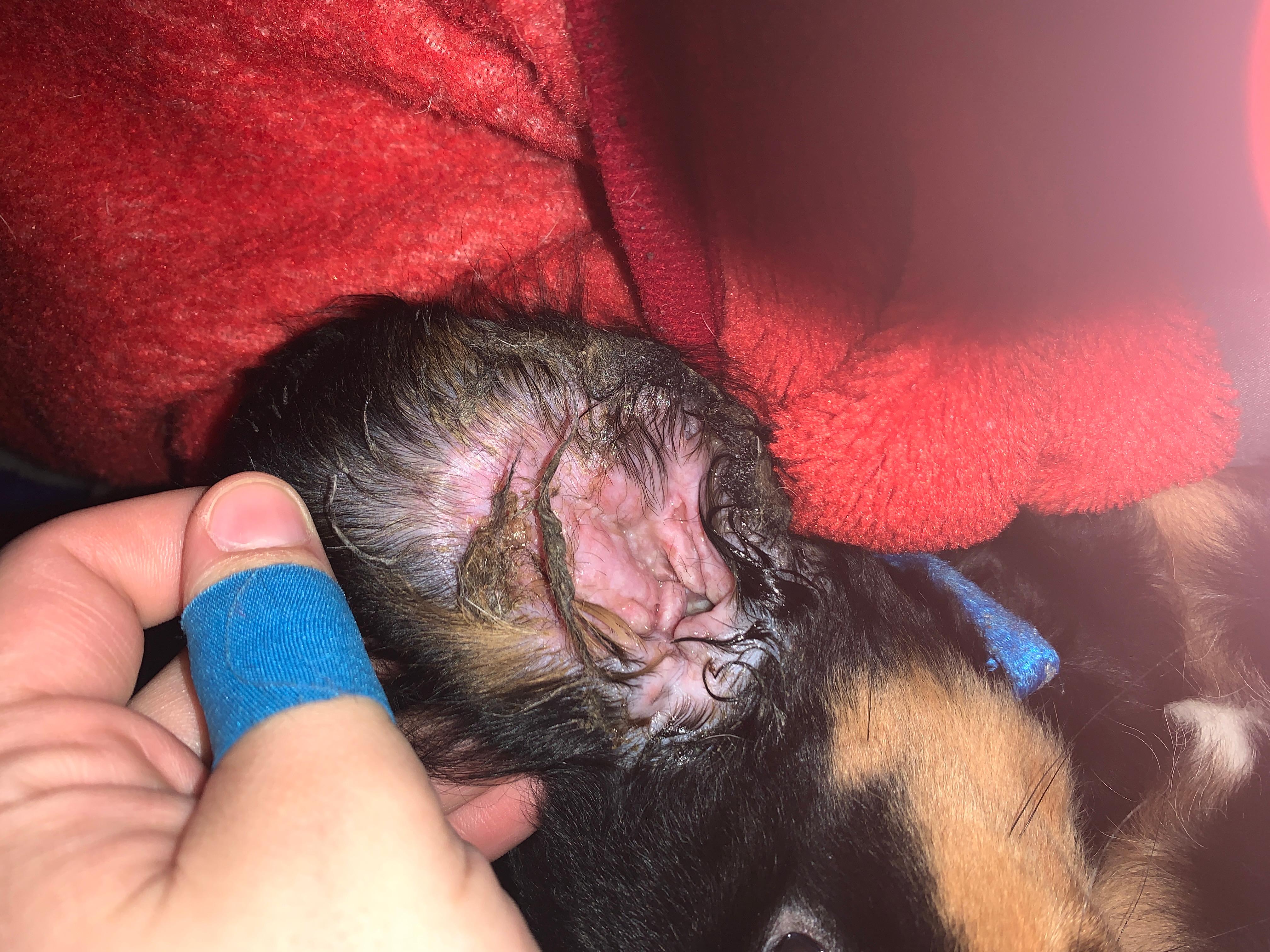 Question details sensitive content