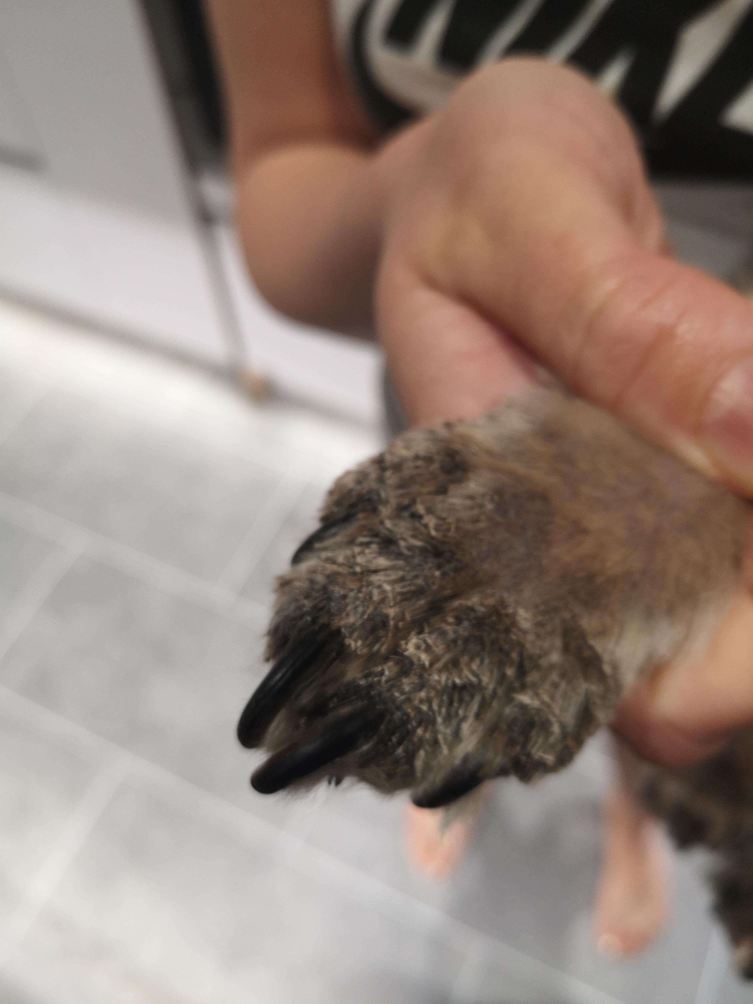 Question details sensitive content