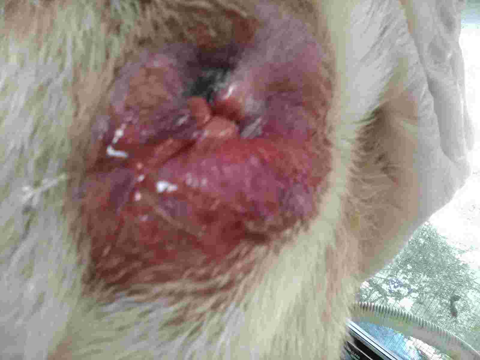 Question details sensitive content