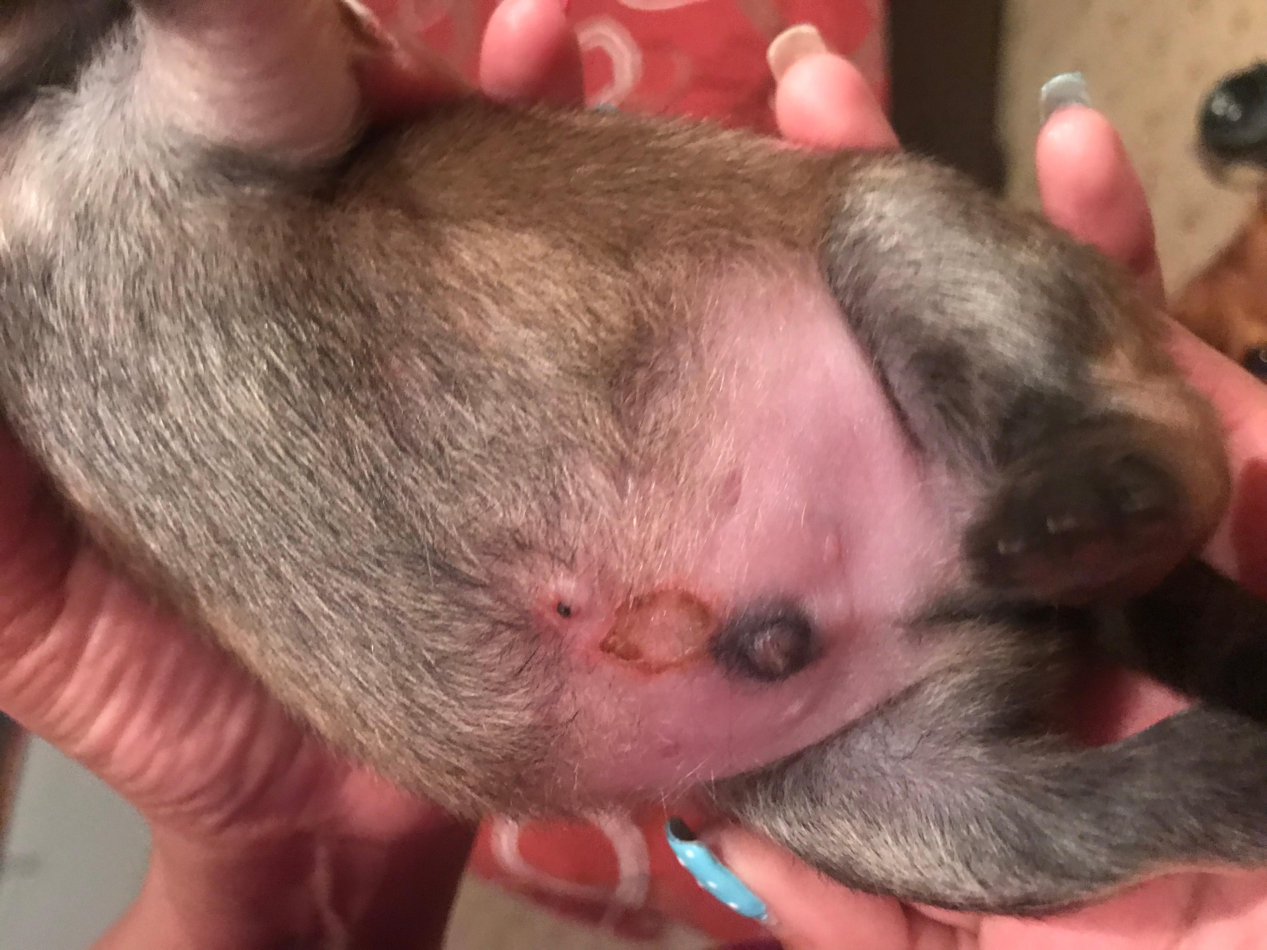 Question details sensitive content