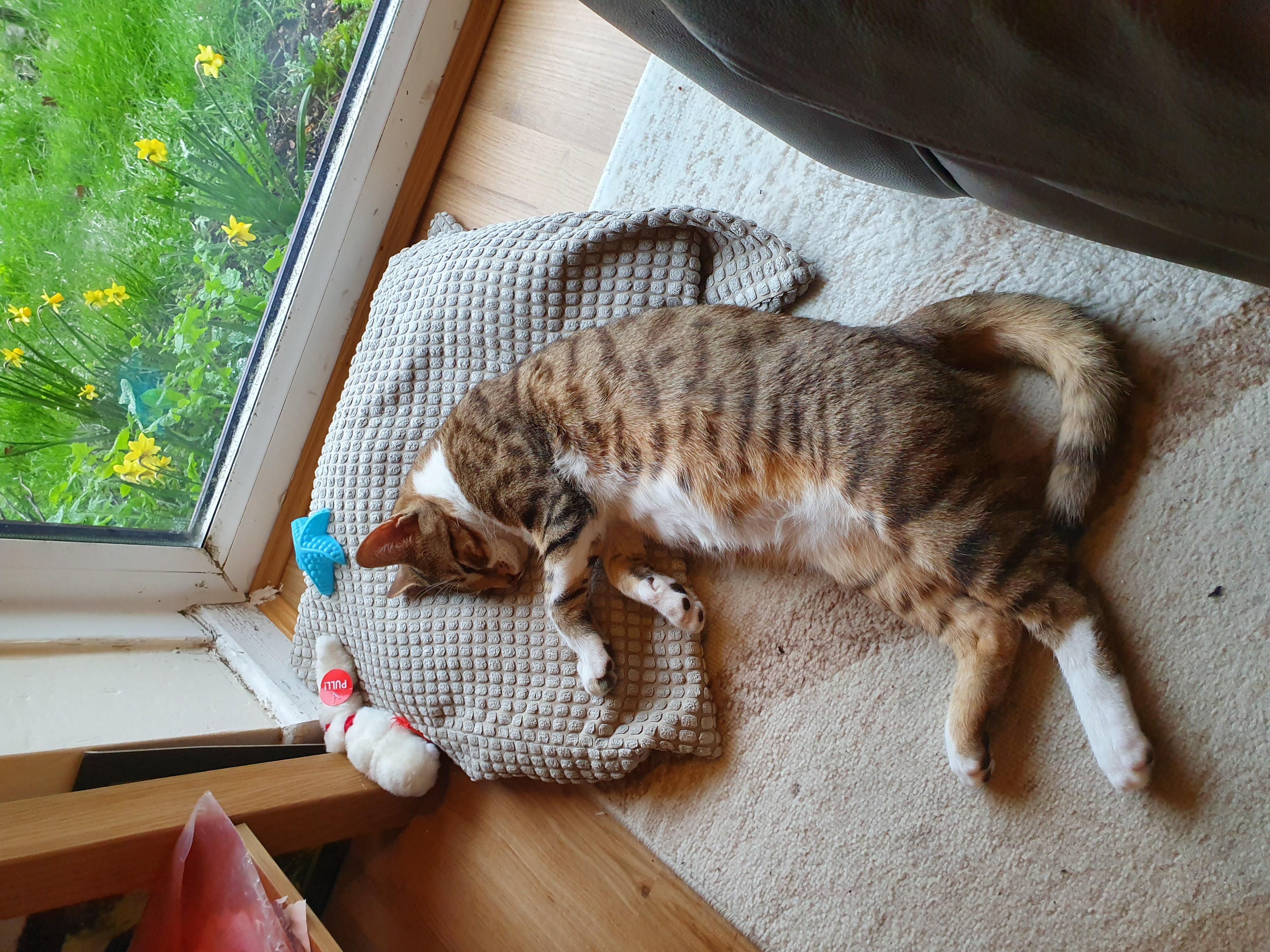 Question details sensitive content