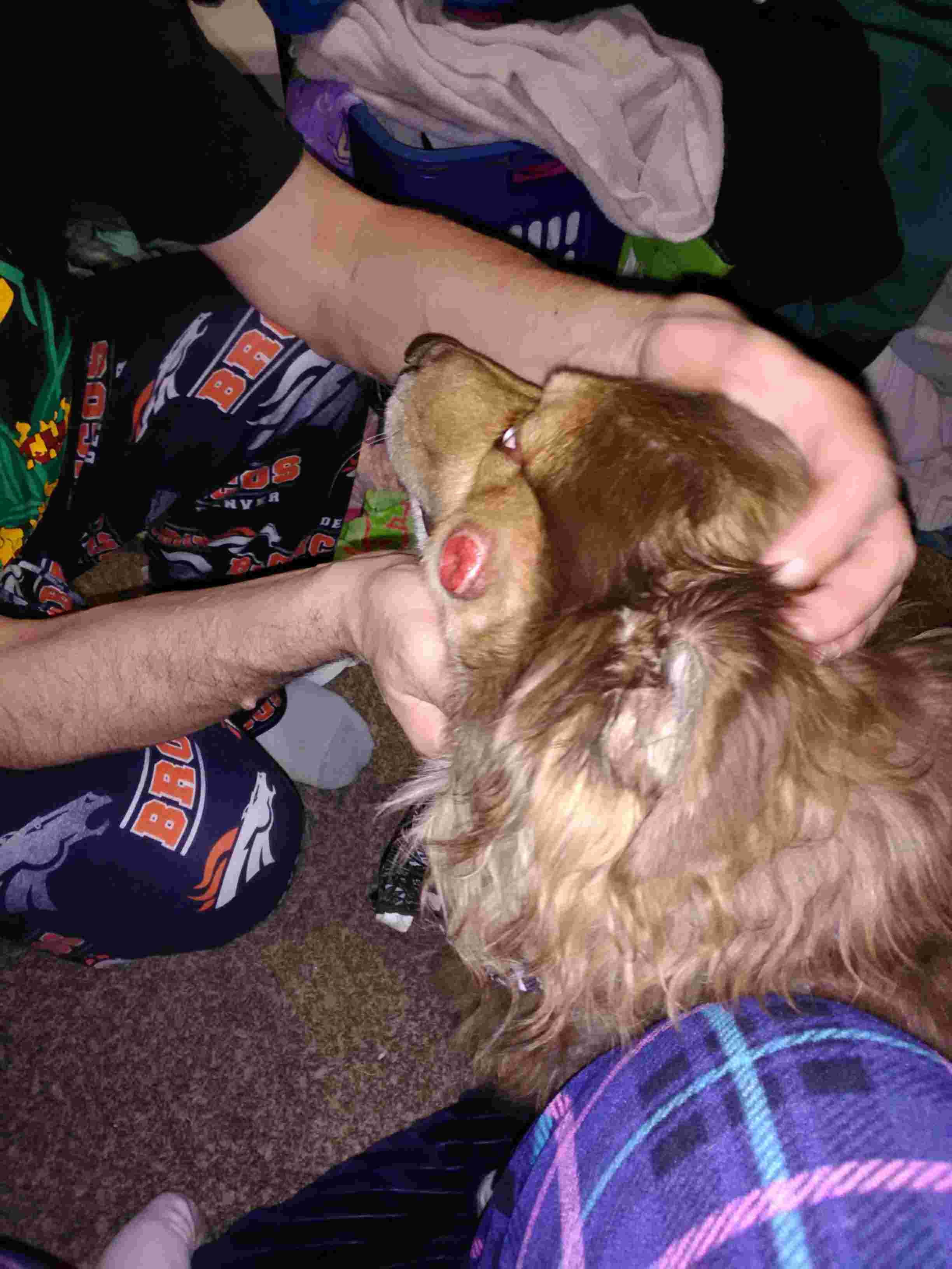 Question details sensitive content