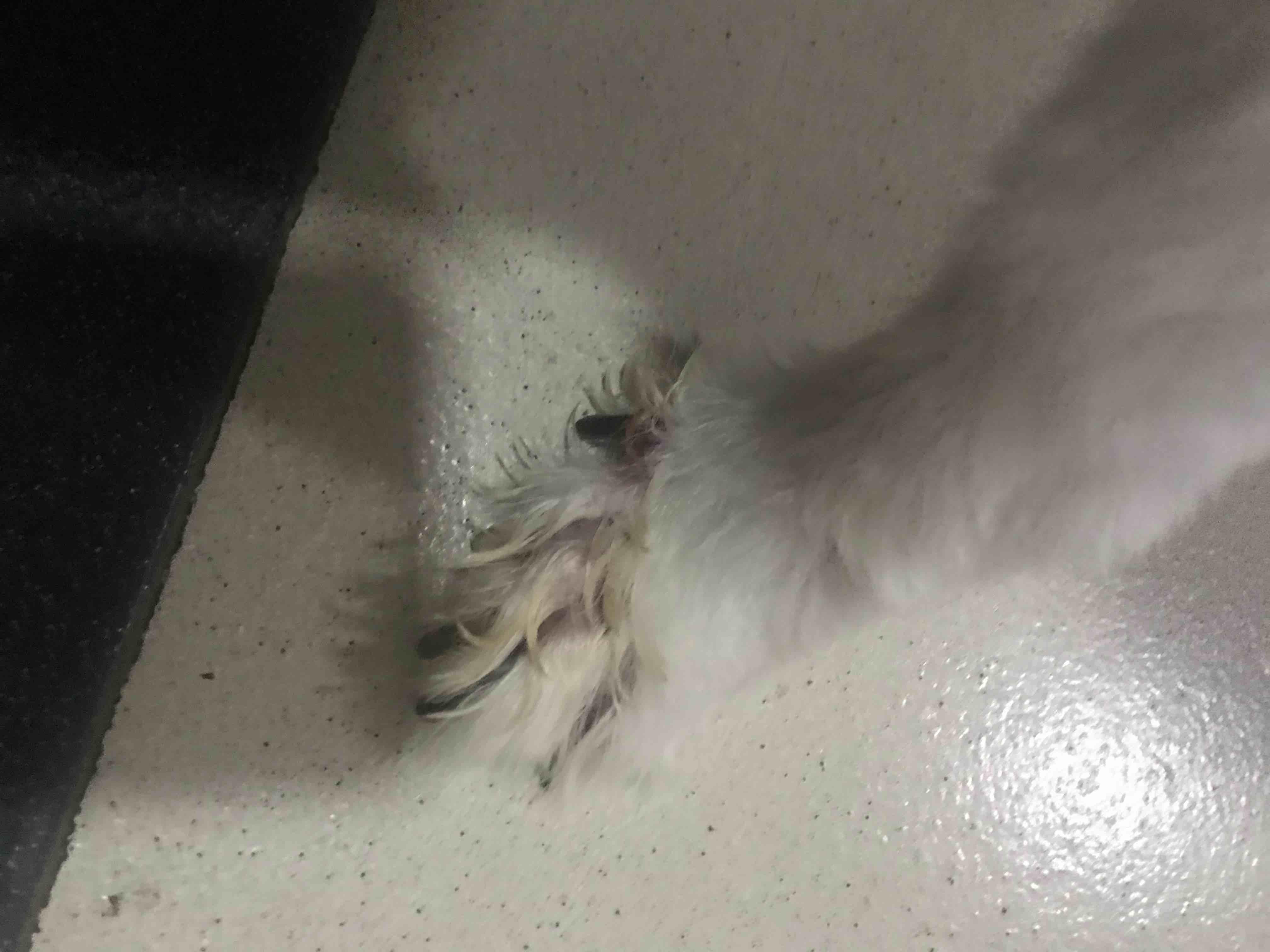 Question details sensitive content