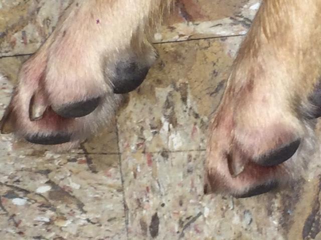 Question details sensitive content