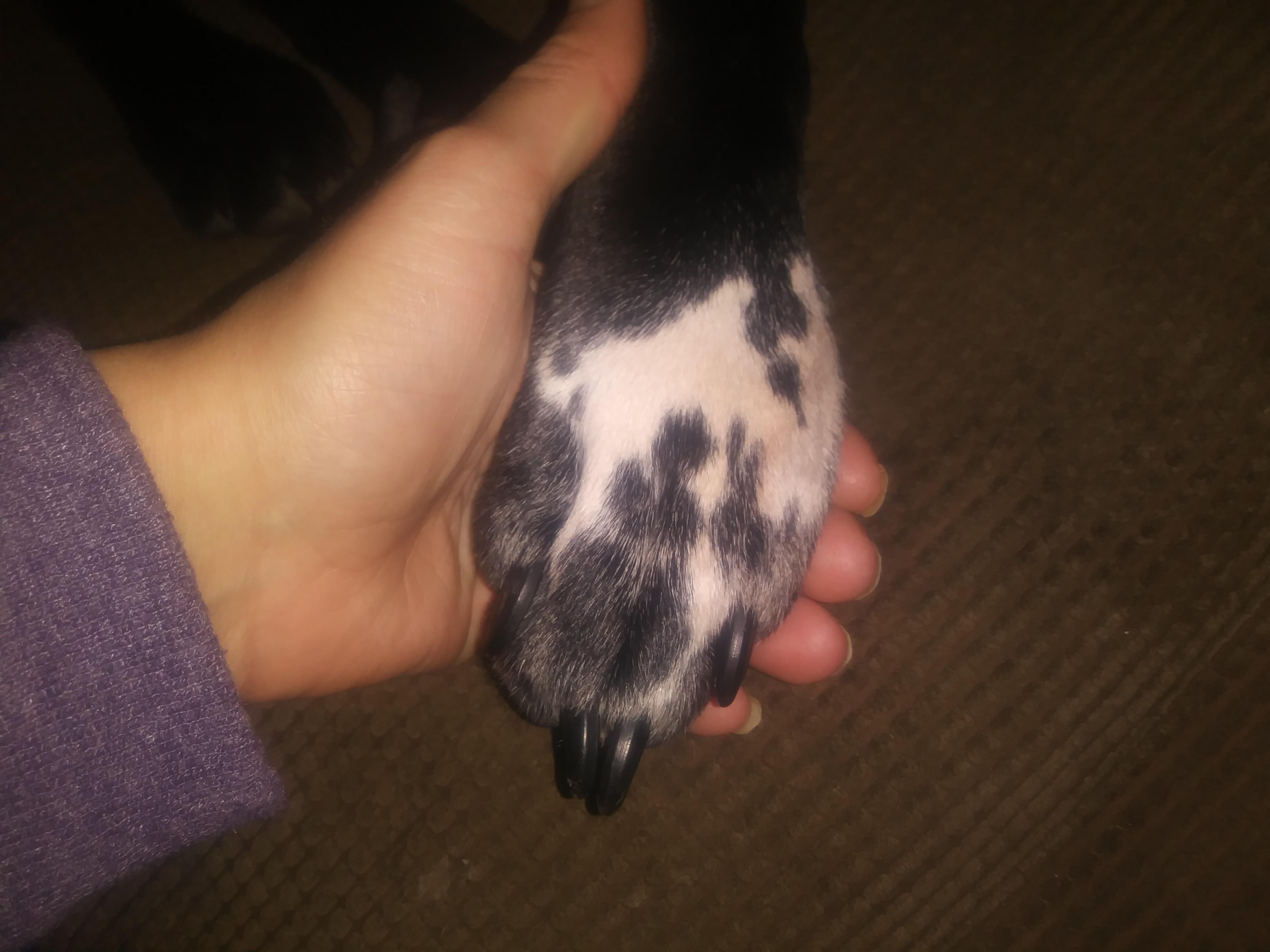 Question details sensitive content