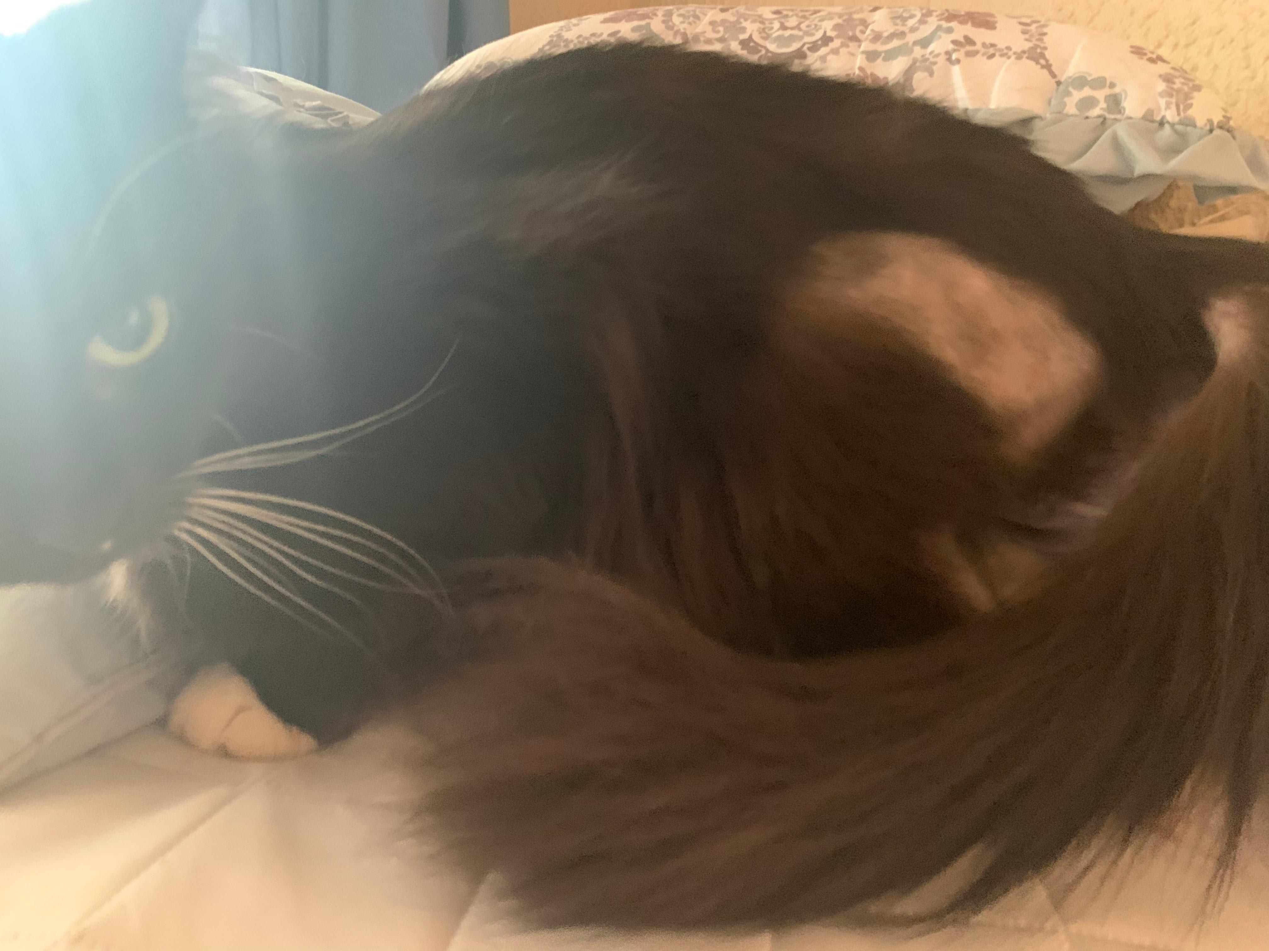 Question details sensitive content