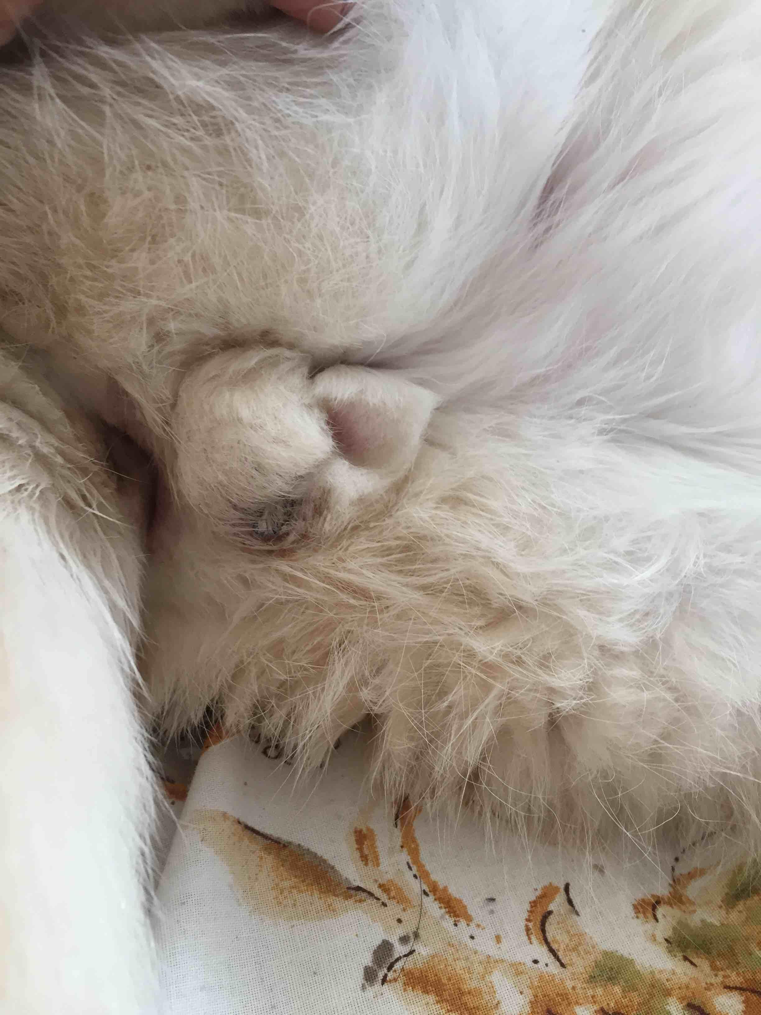 Question details sensitive content