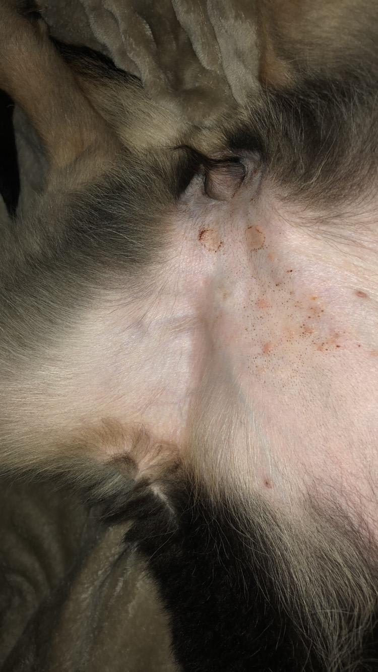 Question details sensitive content