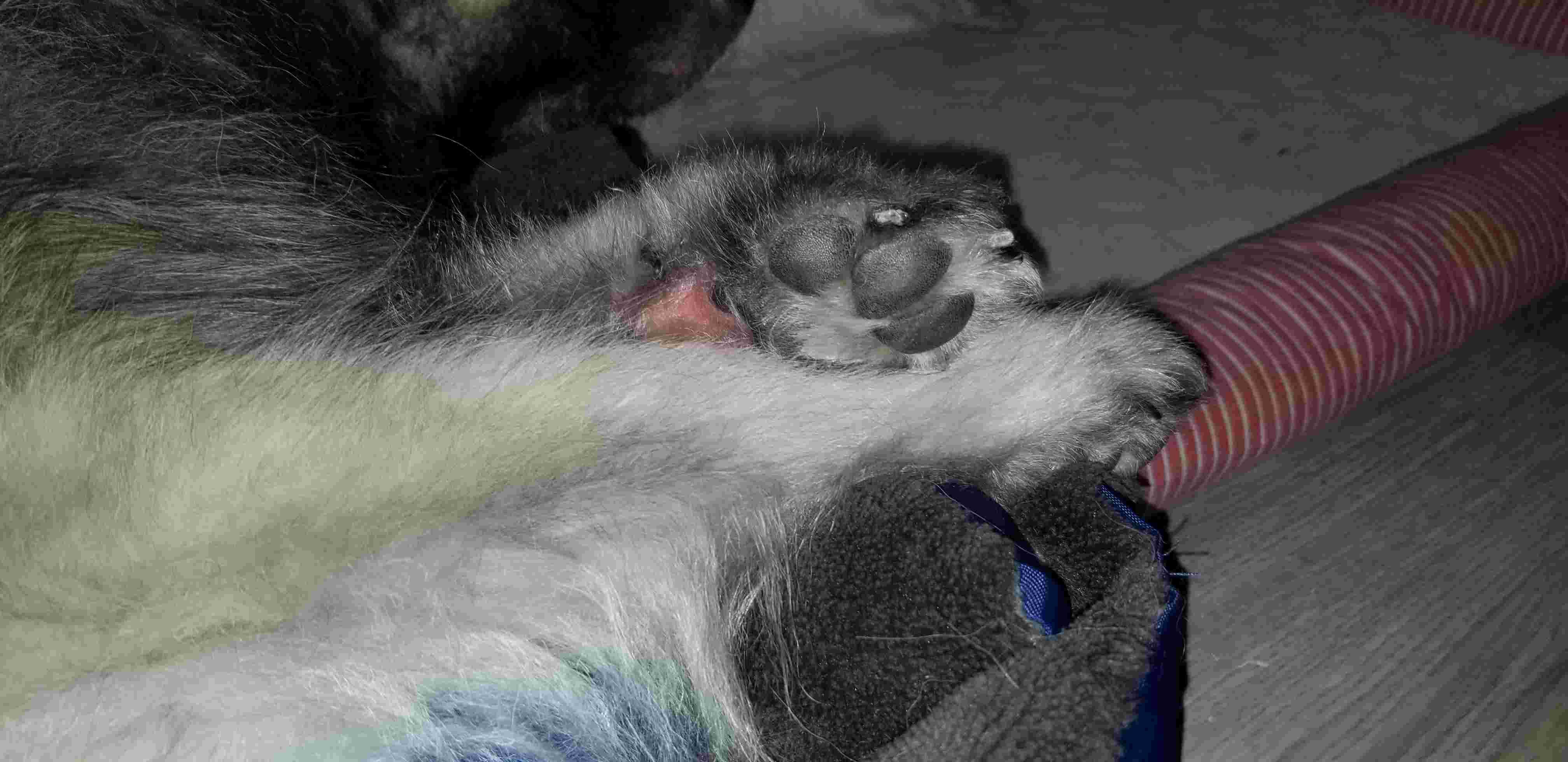 Question details sensitive content