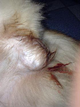 Question details sensitive content