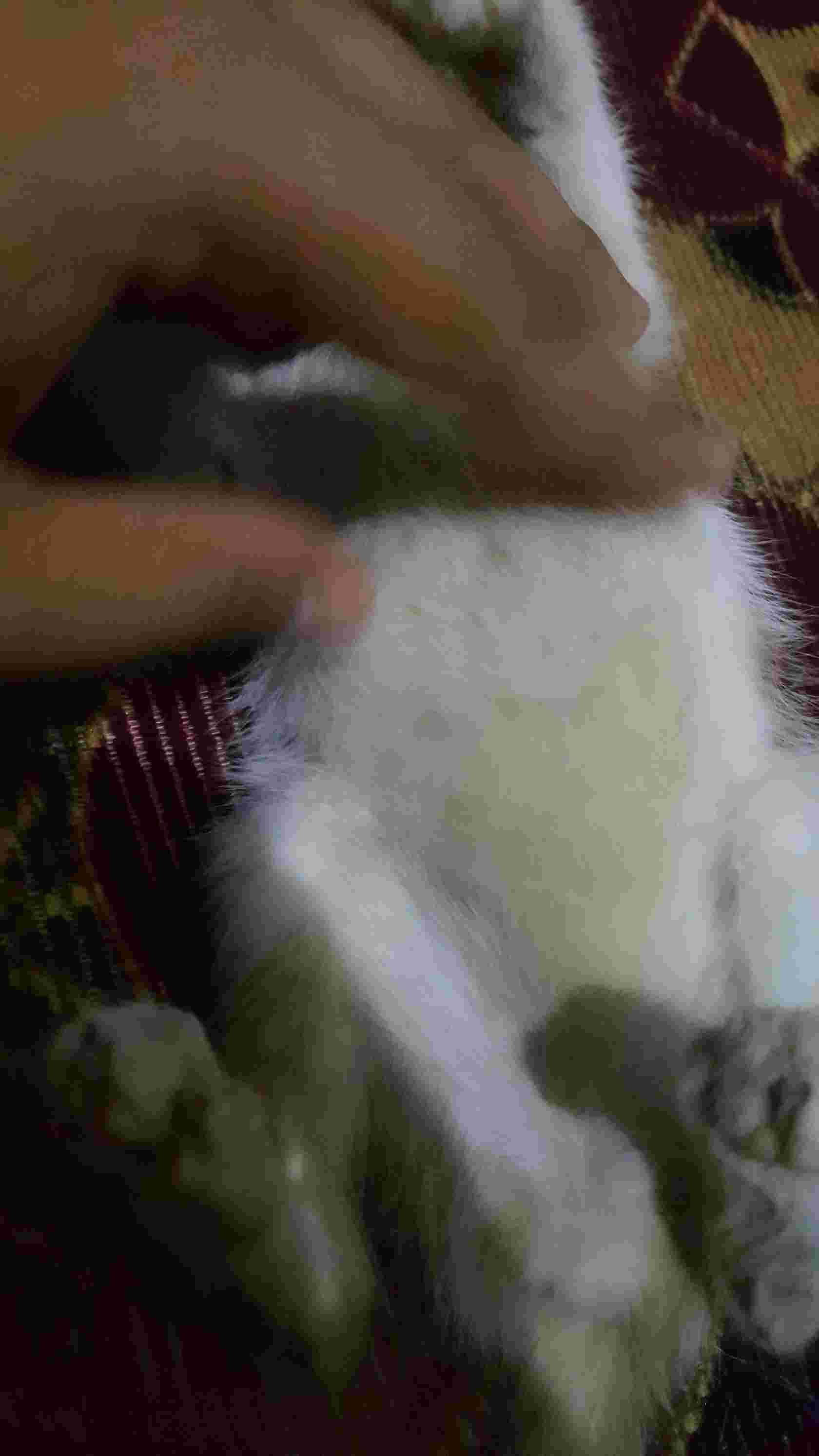 Question details sensitive content