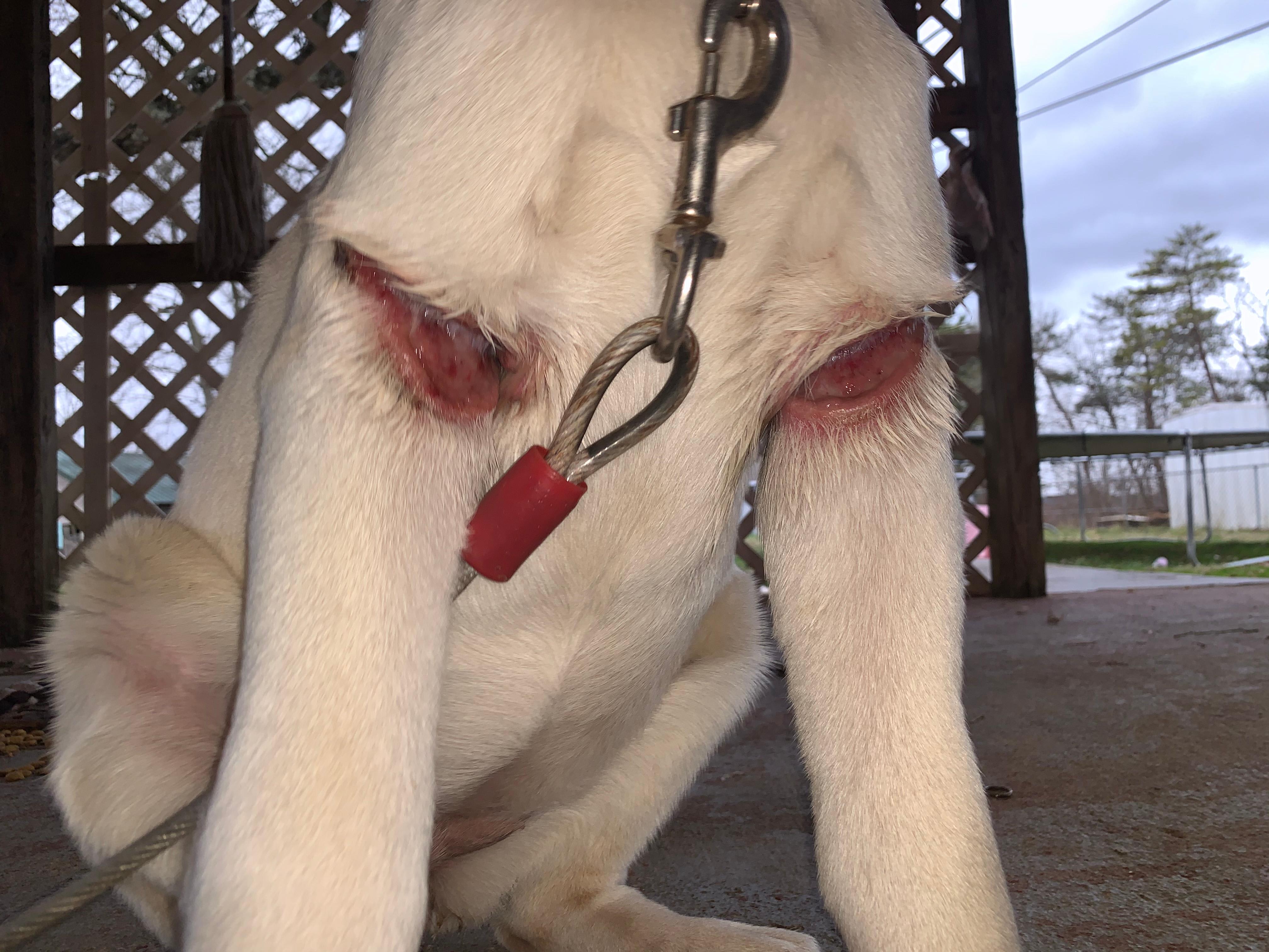 Question details sensitive content