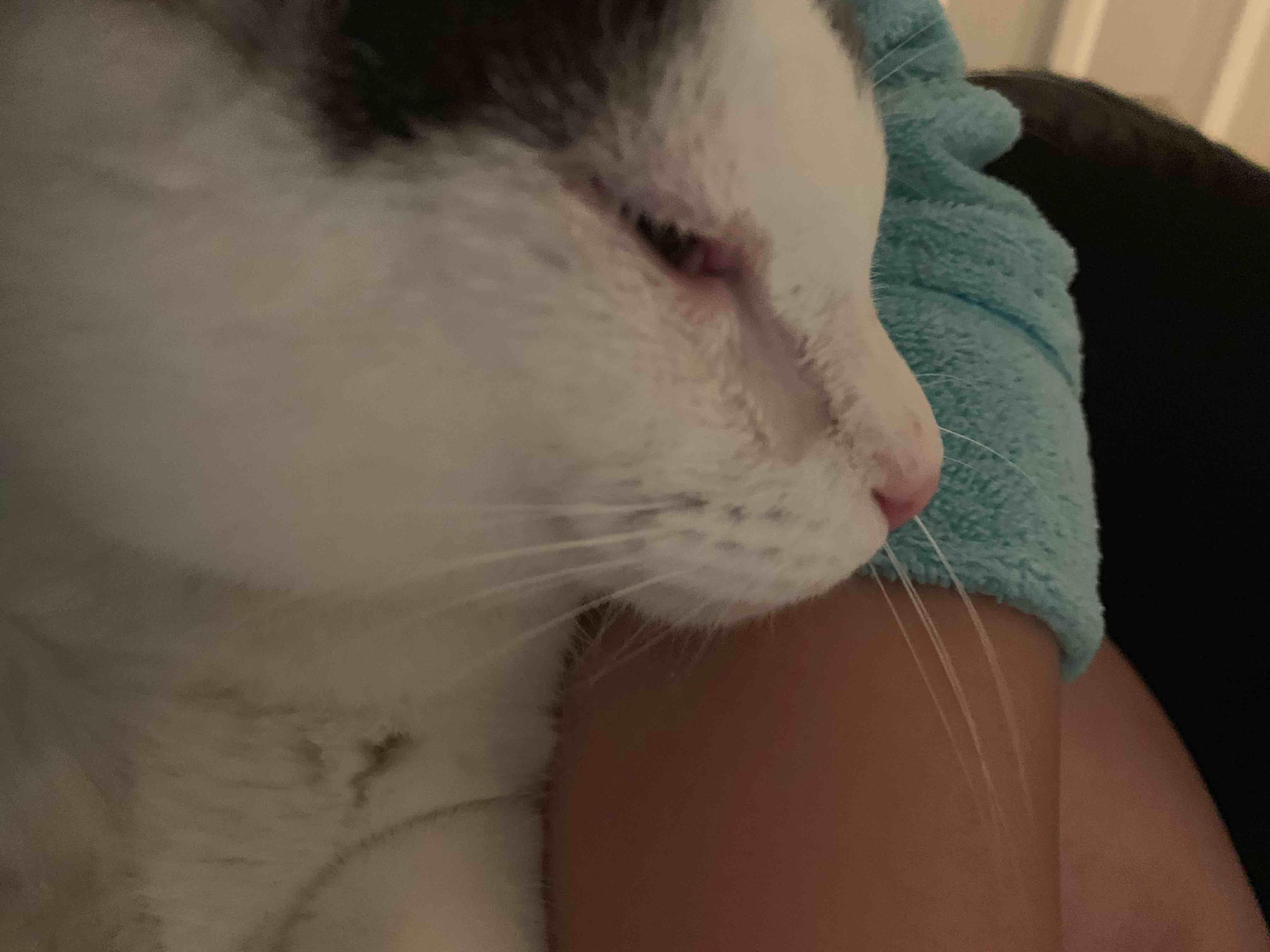 Question details sensitive content