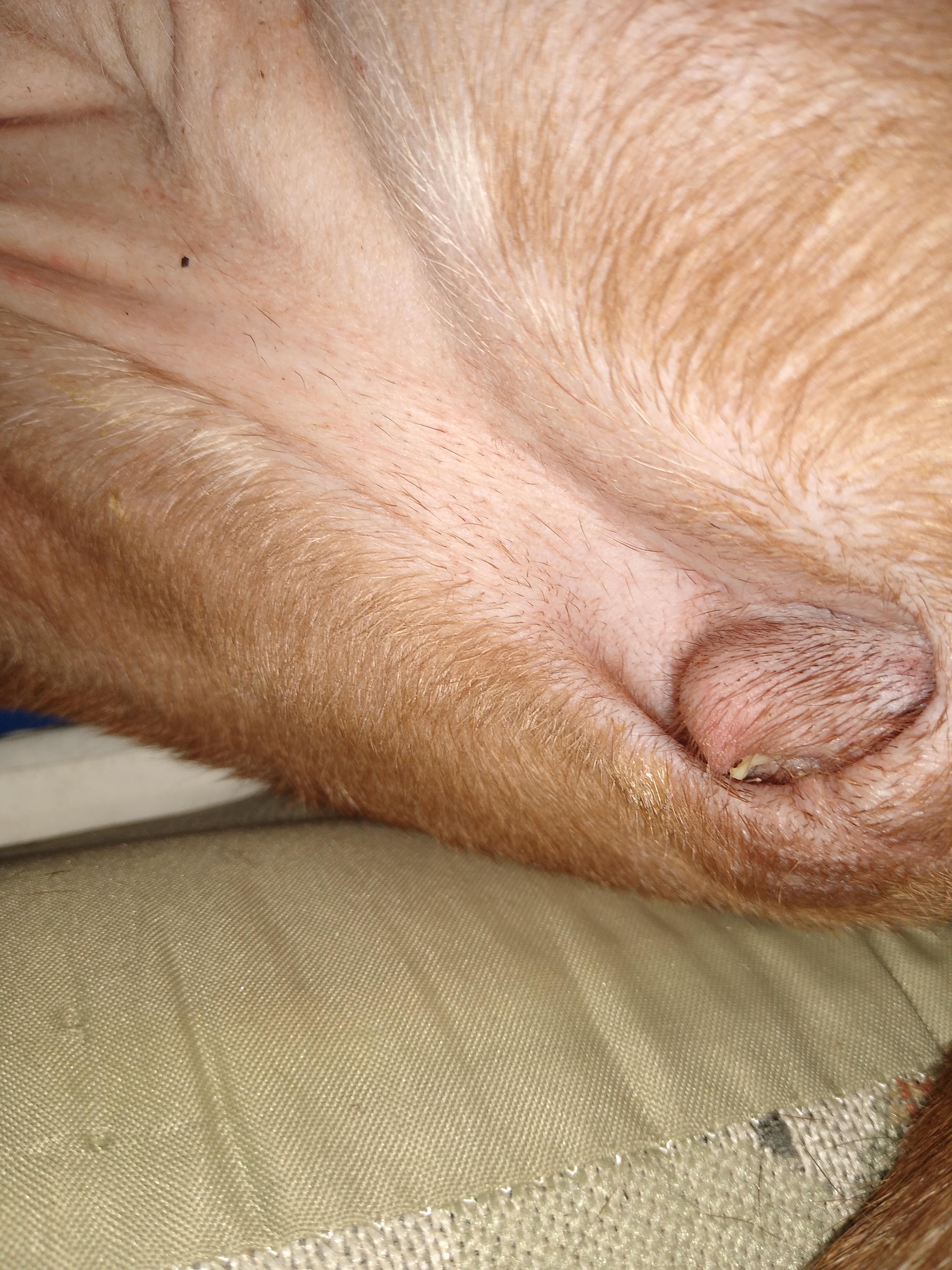 Question details sensitive content