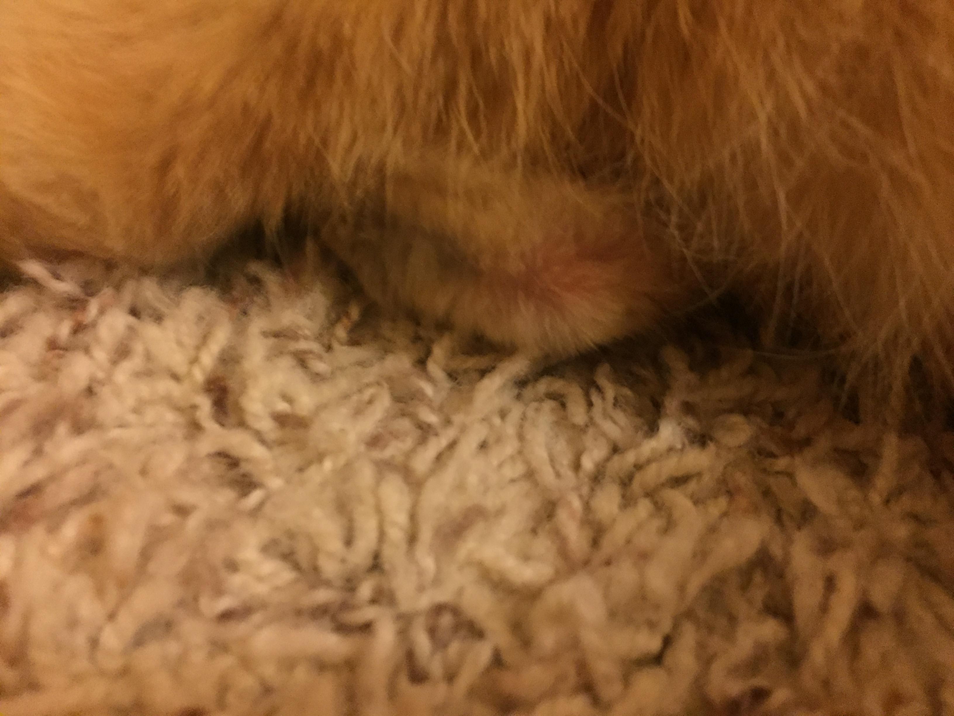 Question details sensitive content