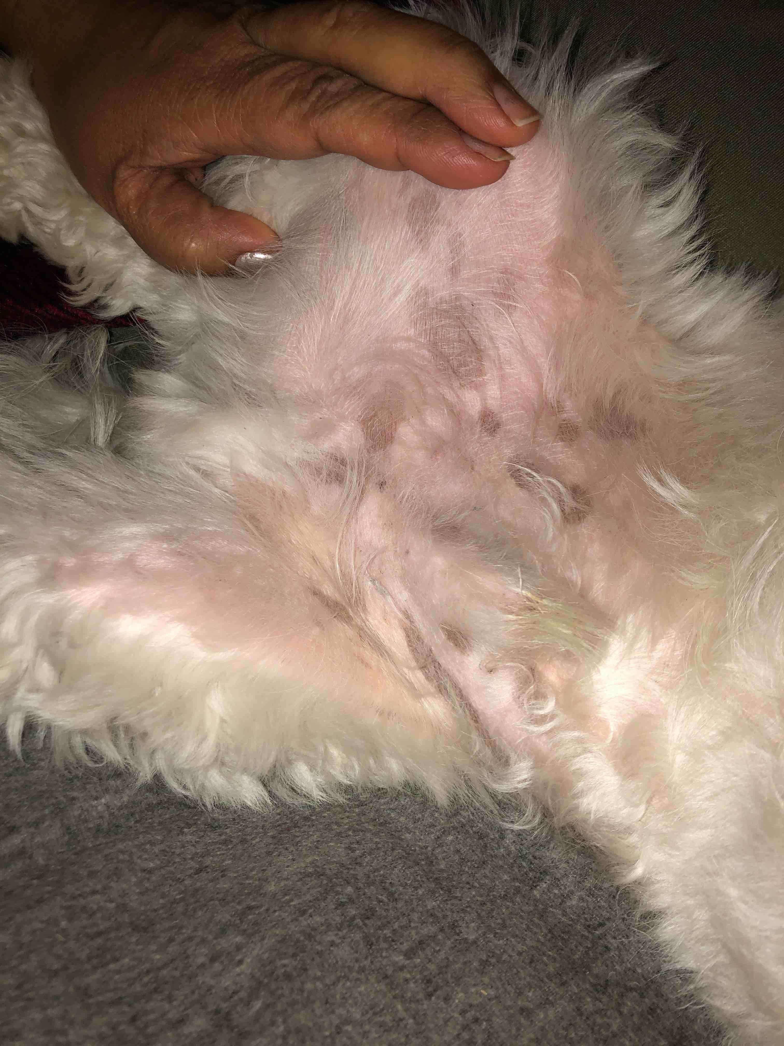 Question details sensitive content