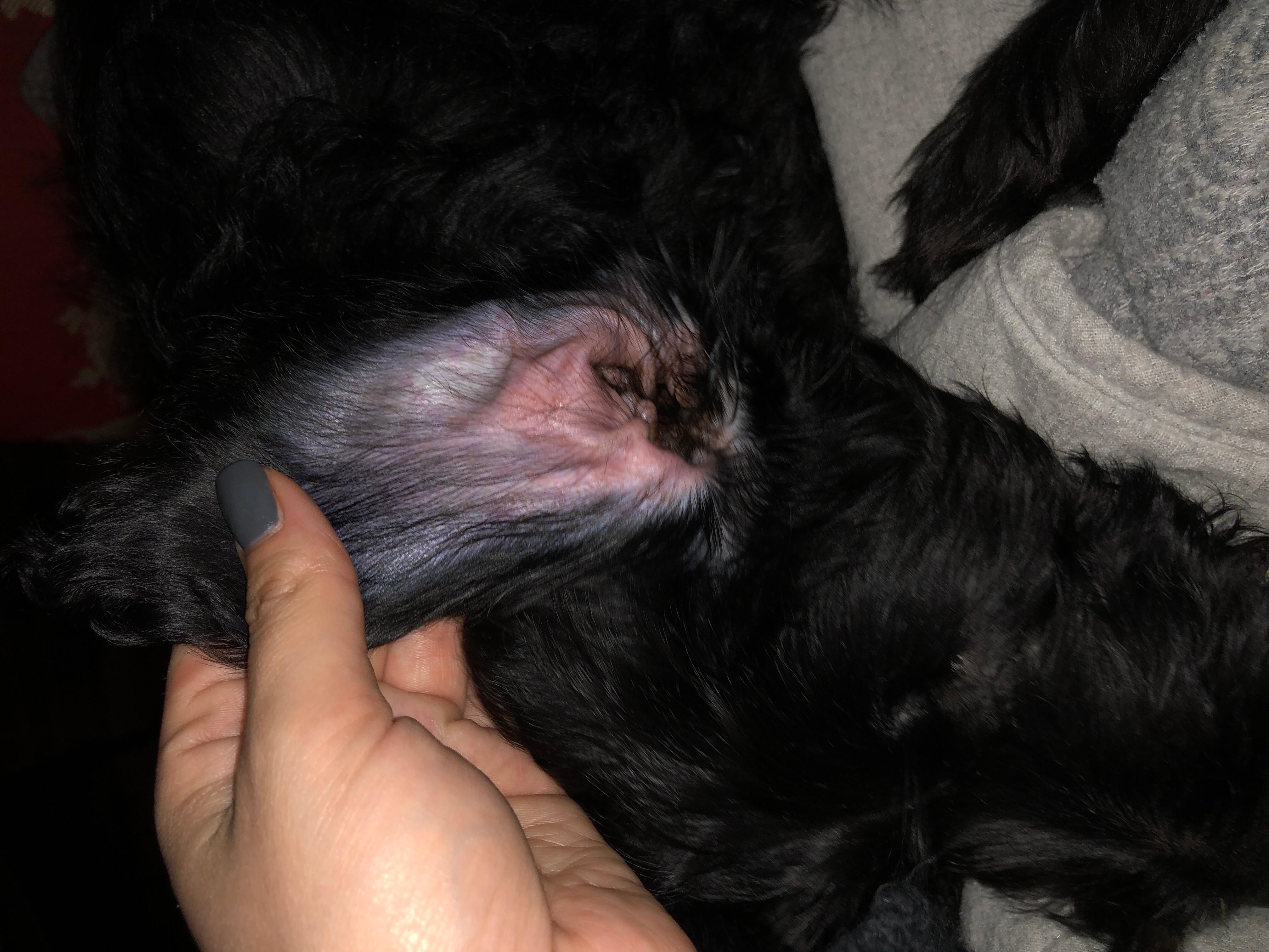 Question details sensitive content