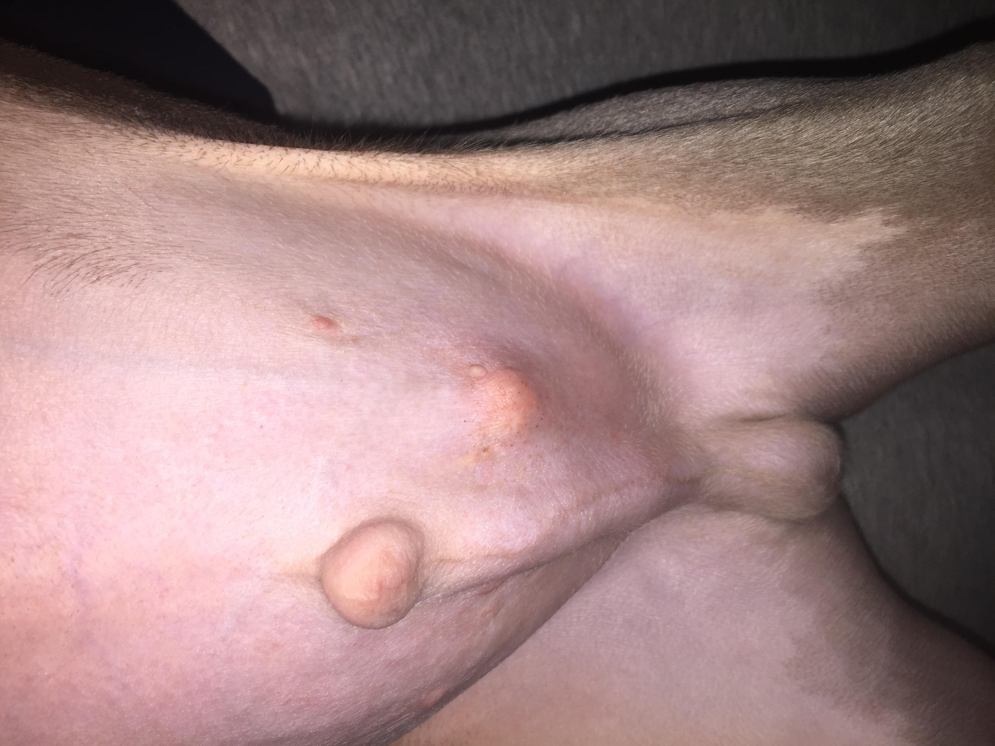 Question details sensitive content