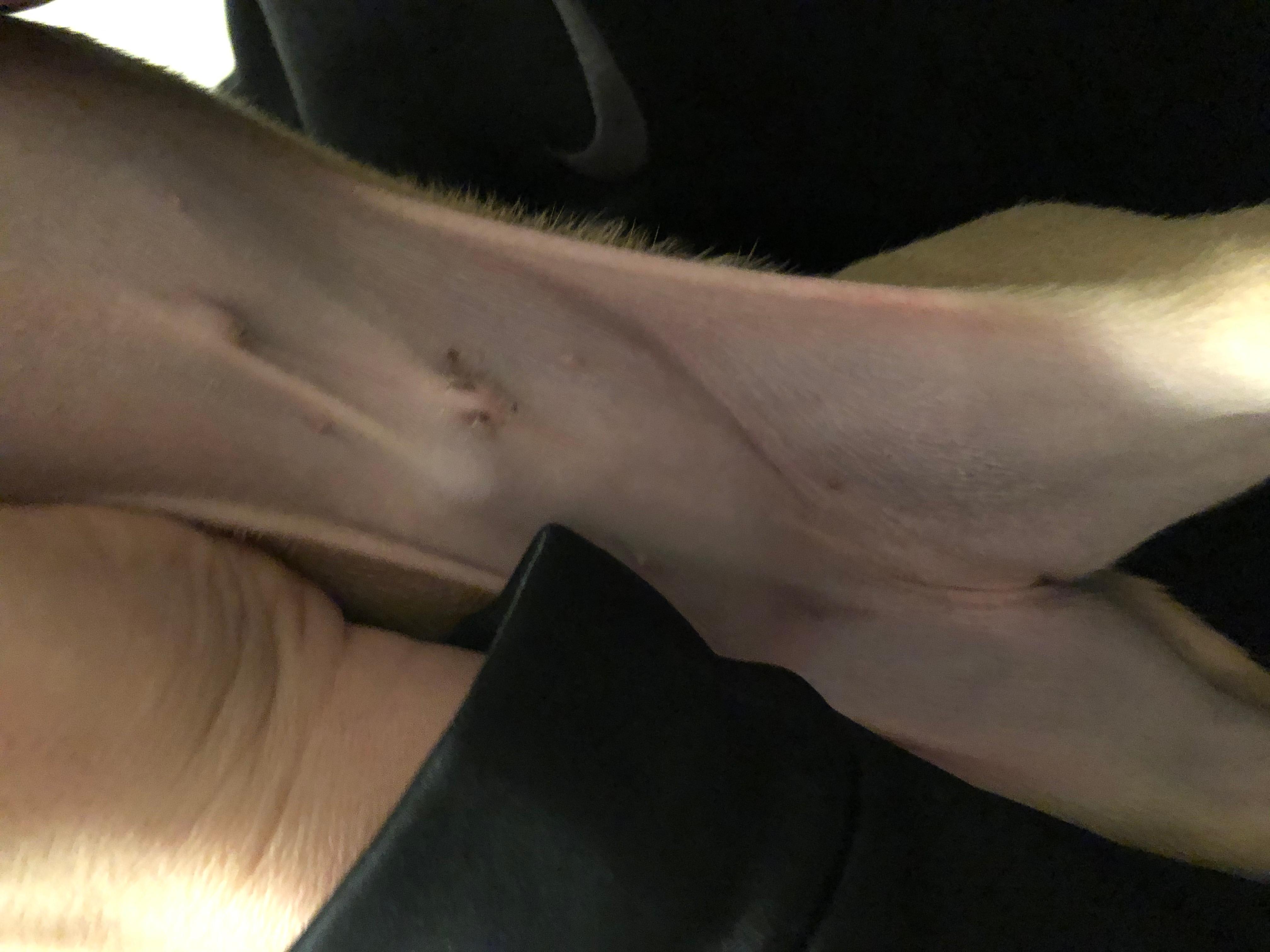 Question details sensitive content