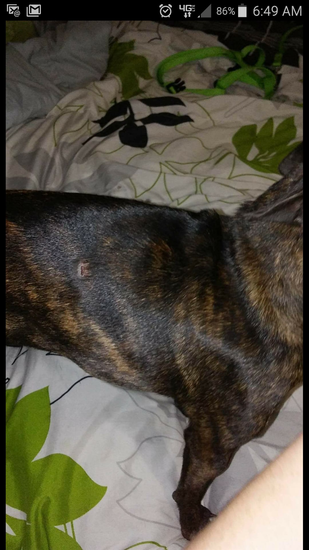 Question details sensitive content