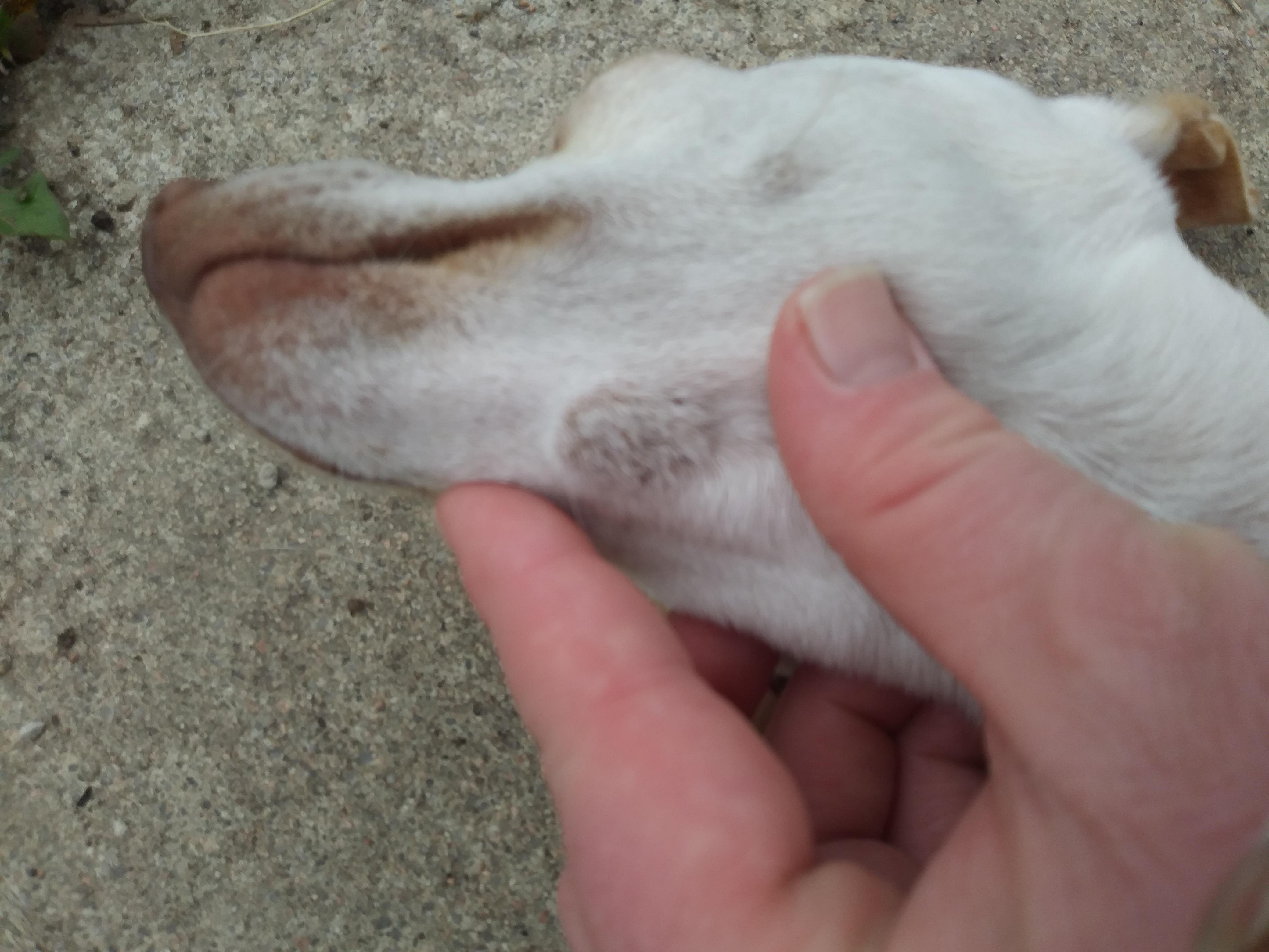 Question details sensitive content