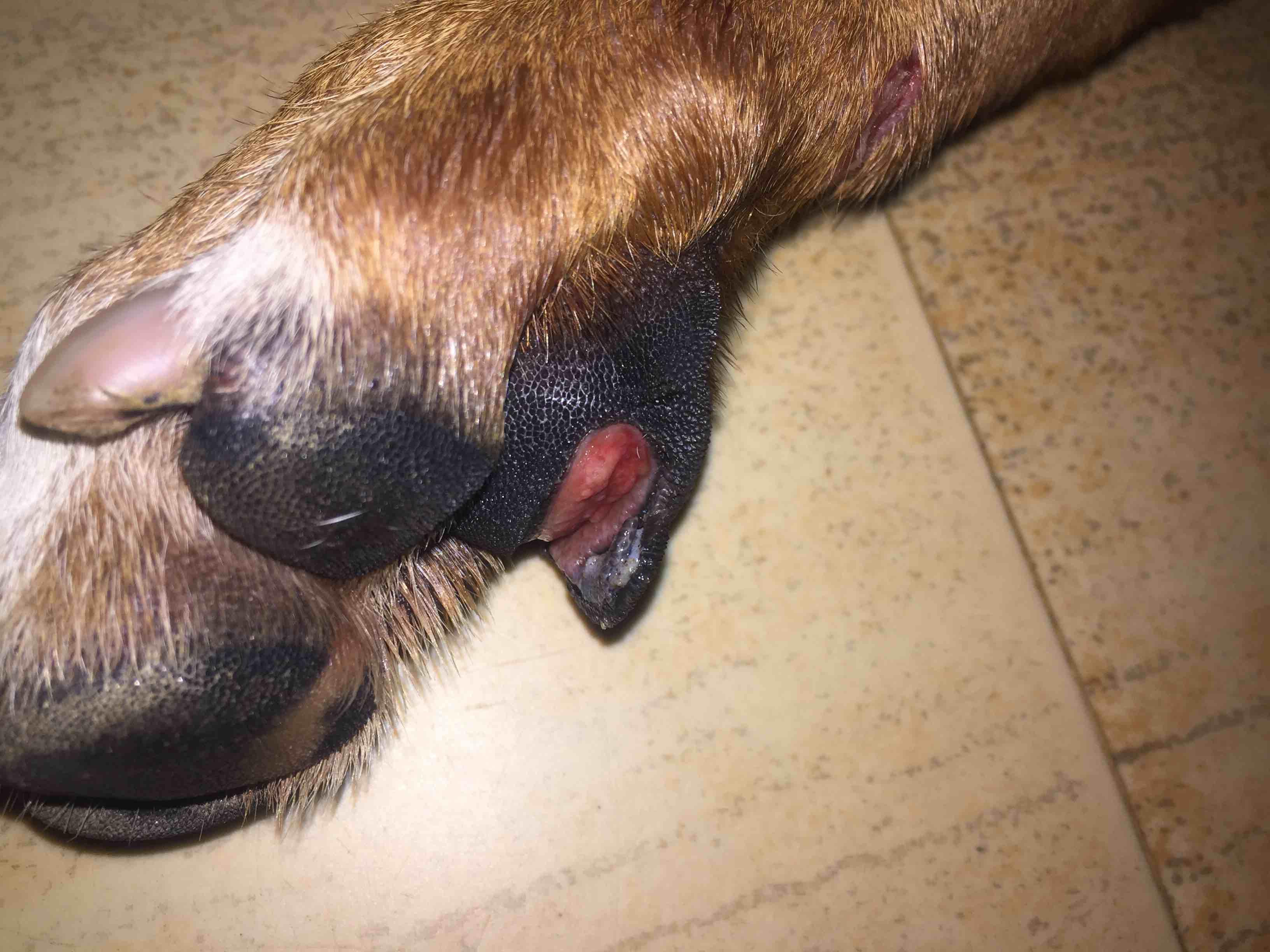 Question details sensitive content