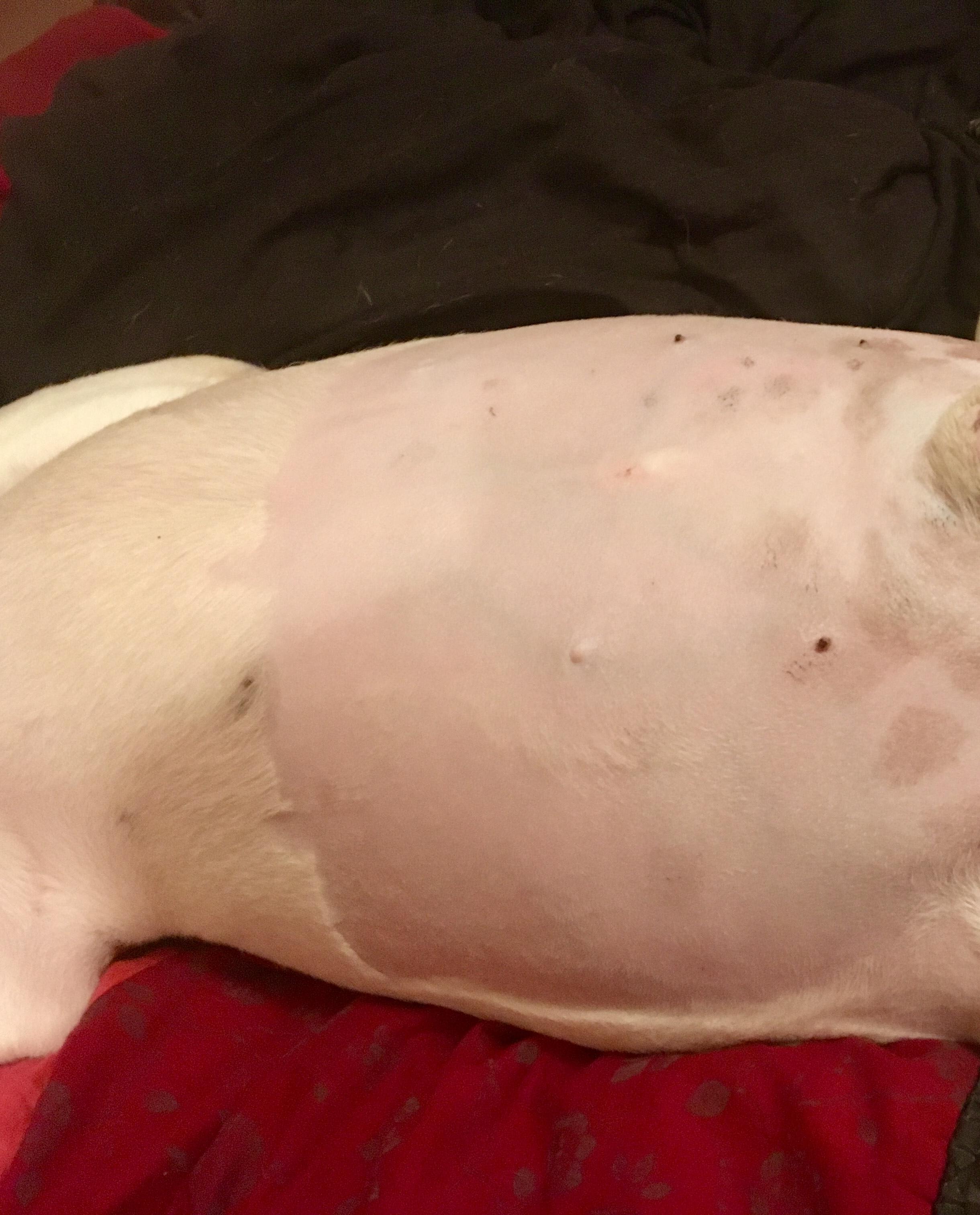 Question details sensitive content