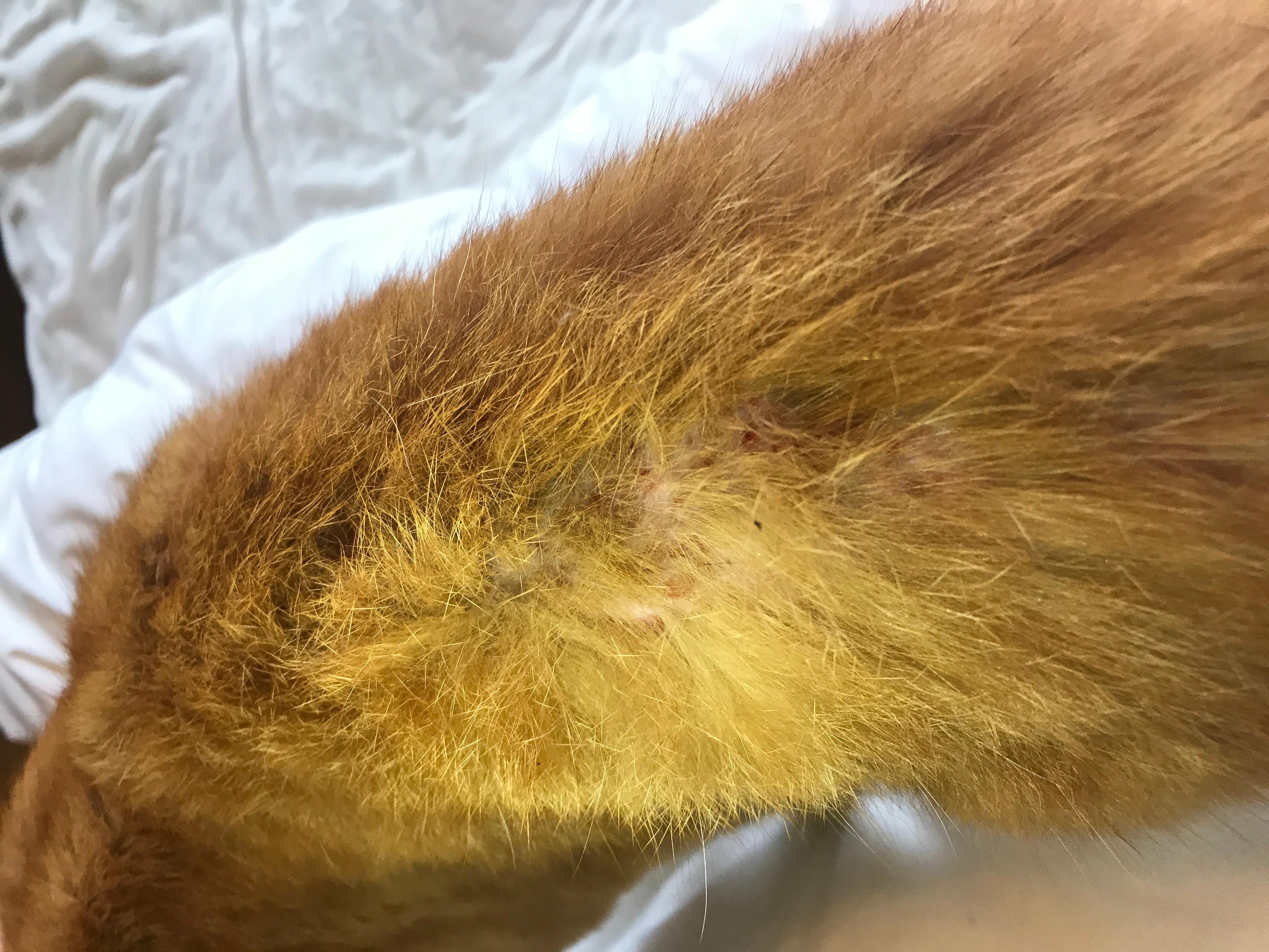 Question details sensitive content