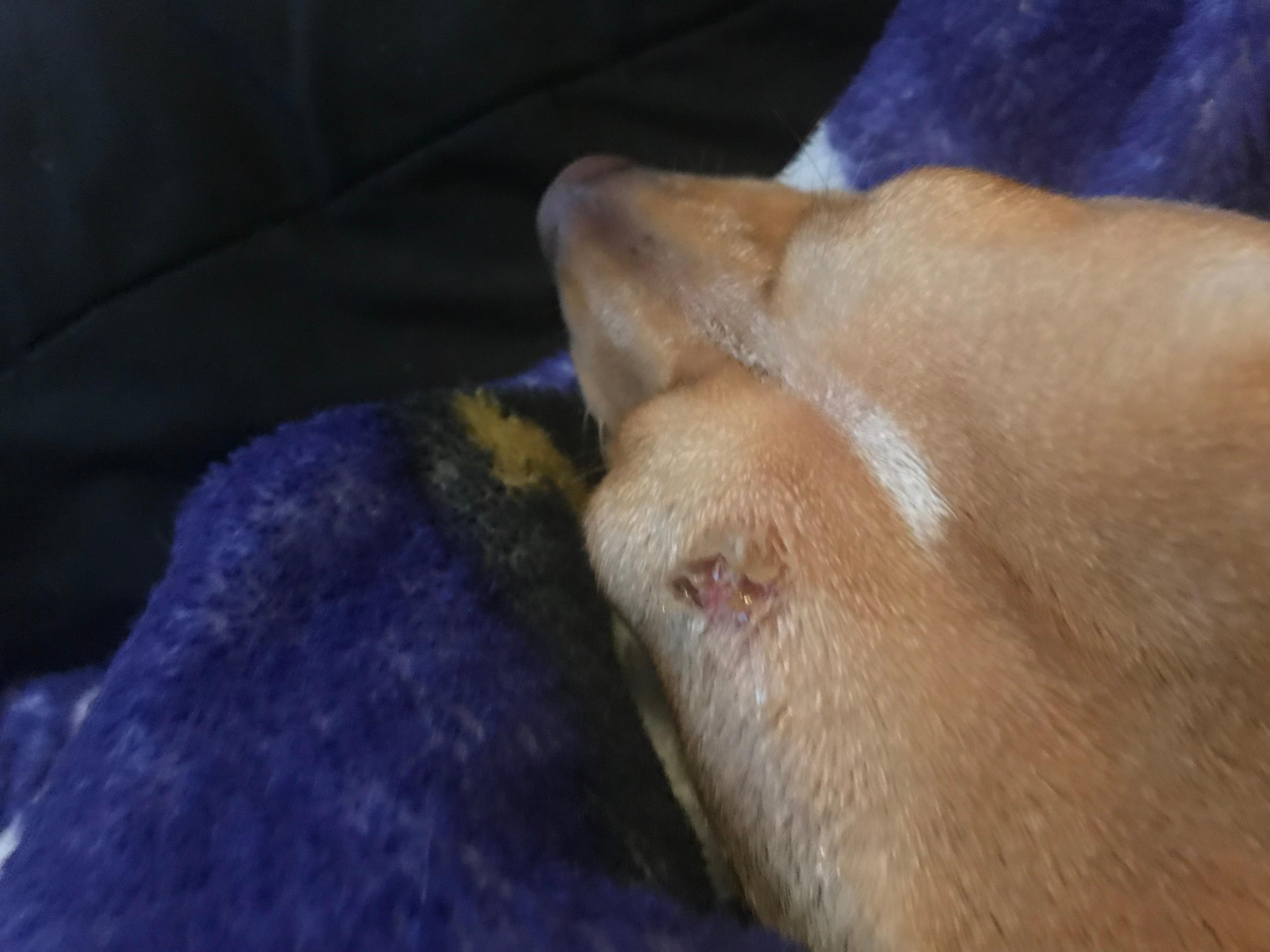 Question details sensitive content