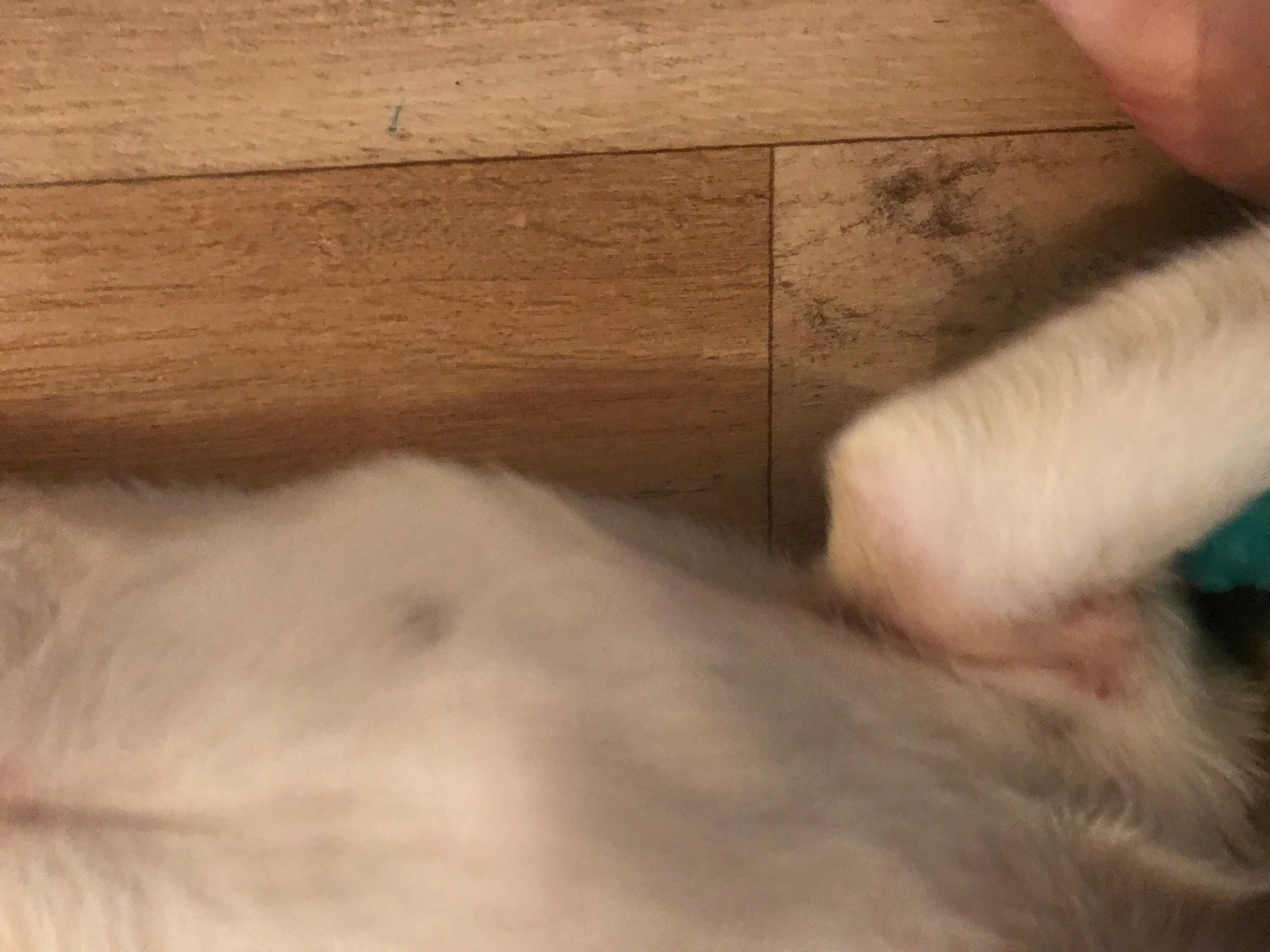 Question details sensitive content