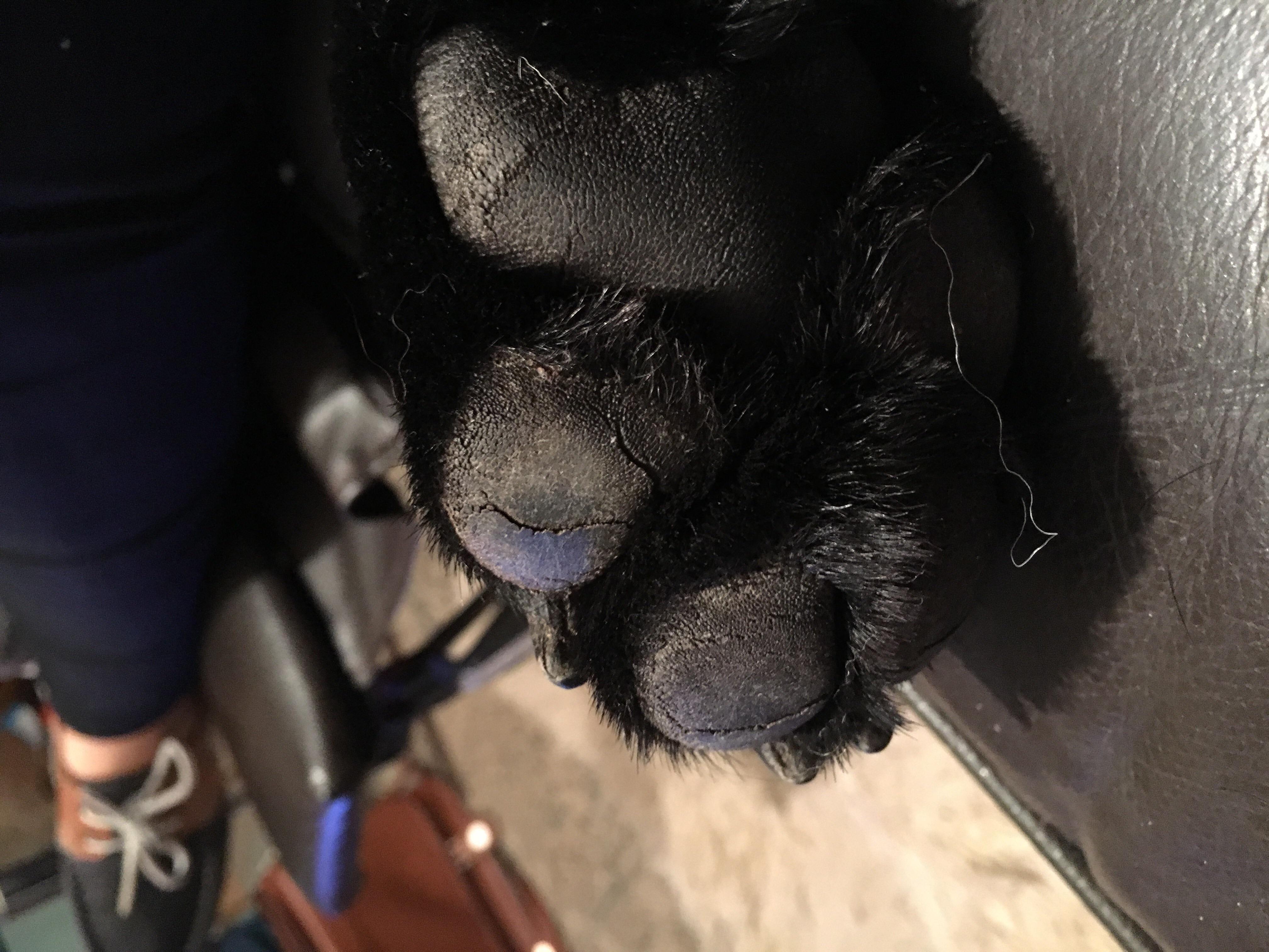 Question details sensitive content