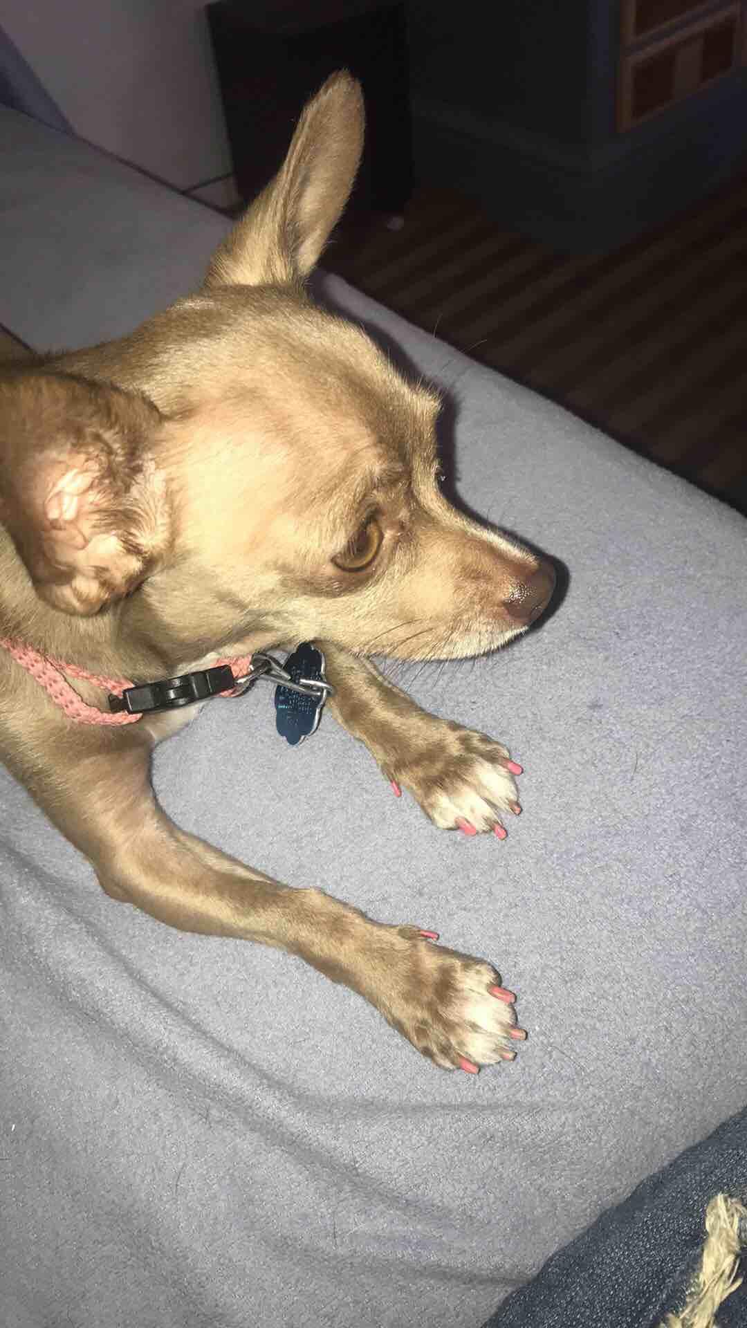 Question details sensitive content