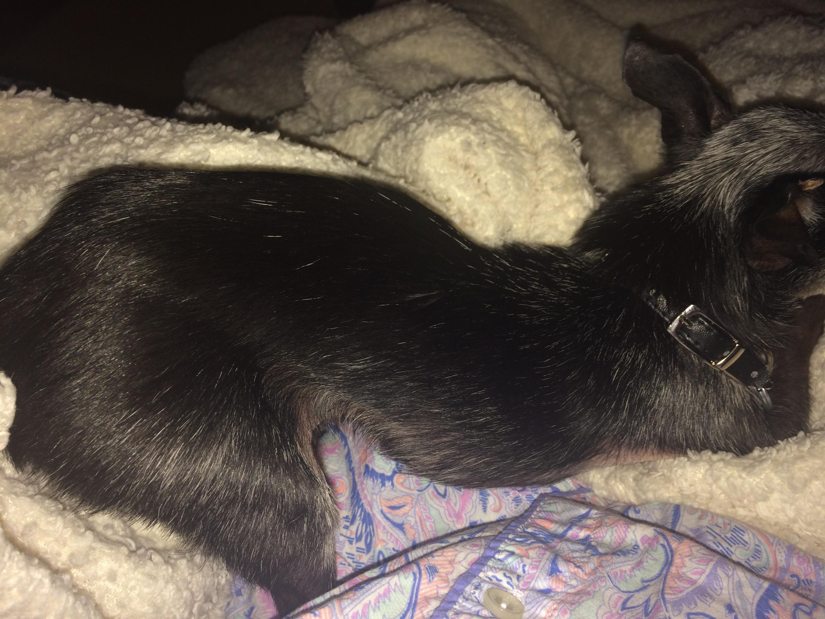 Question details sensitive content