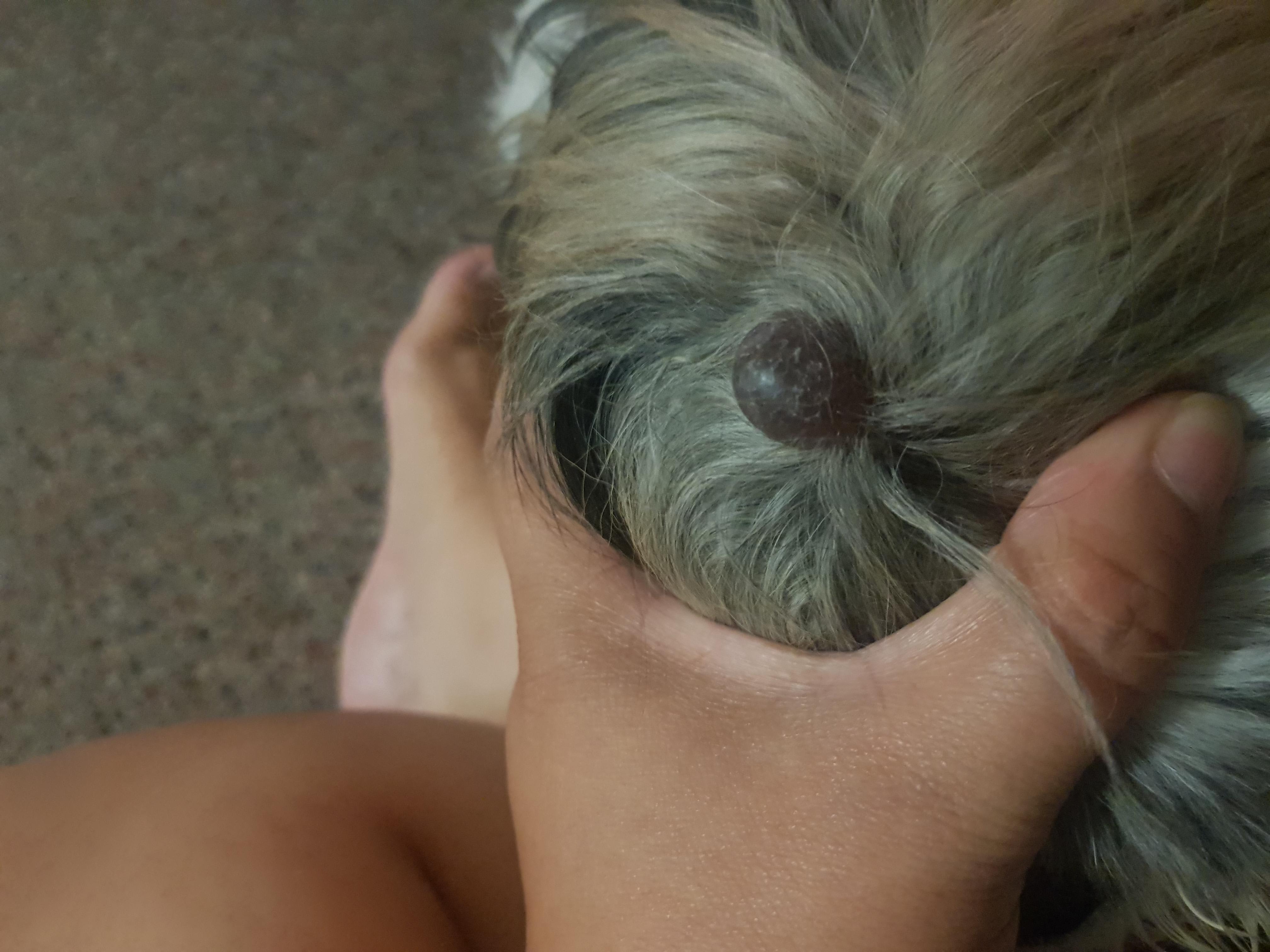 Question details sensitive content