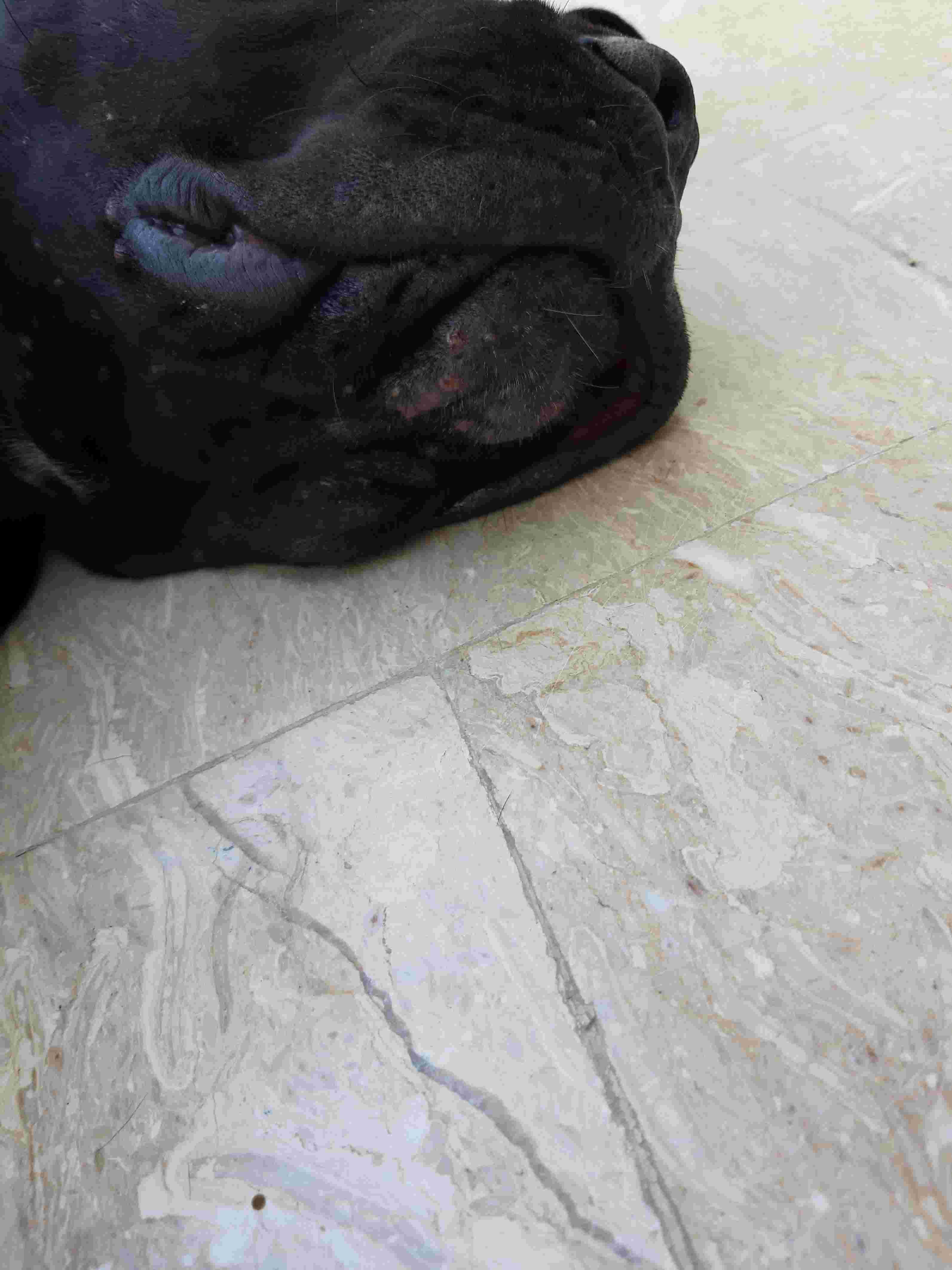 Question details sensitive content