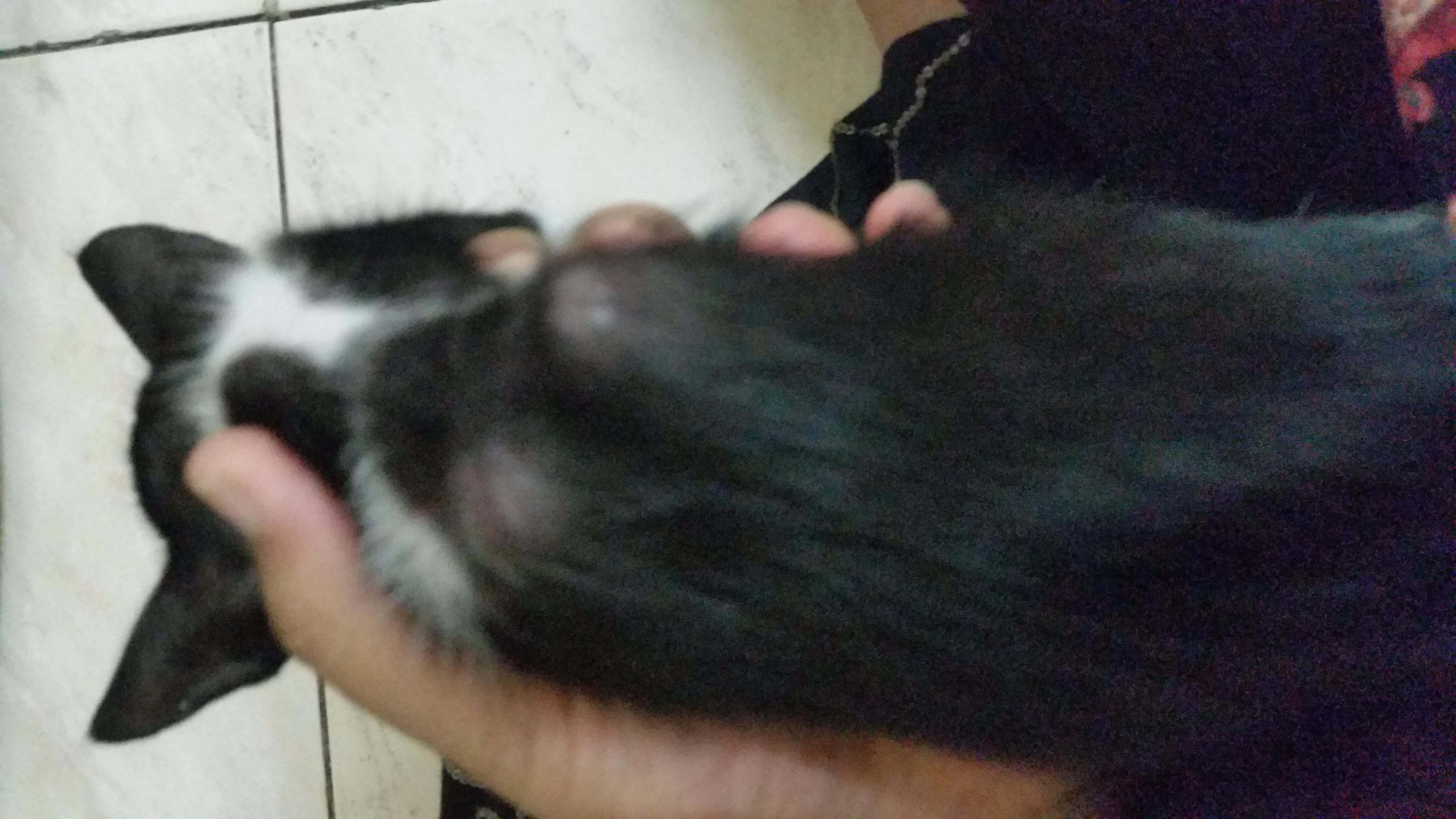 Question details sensitive content