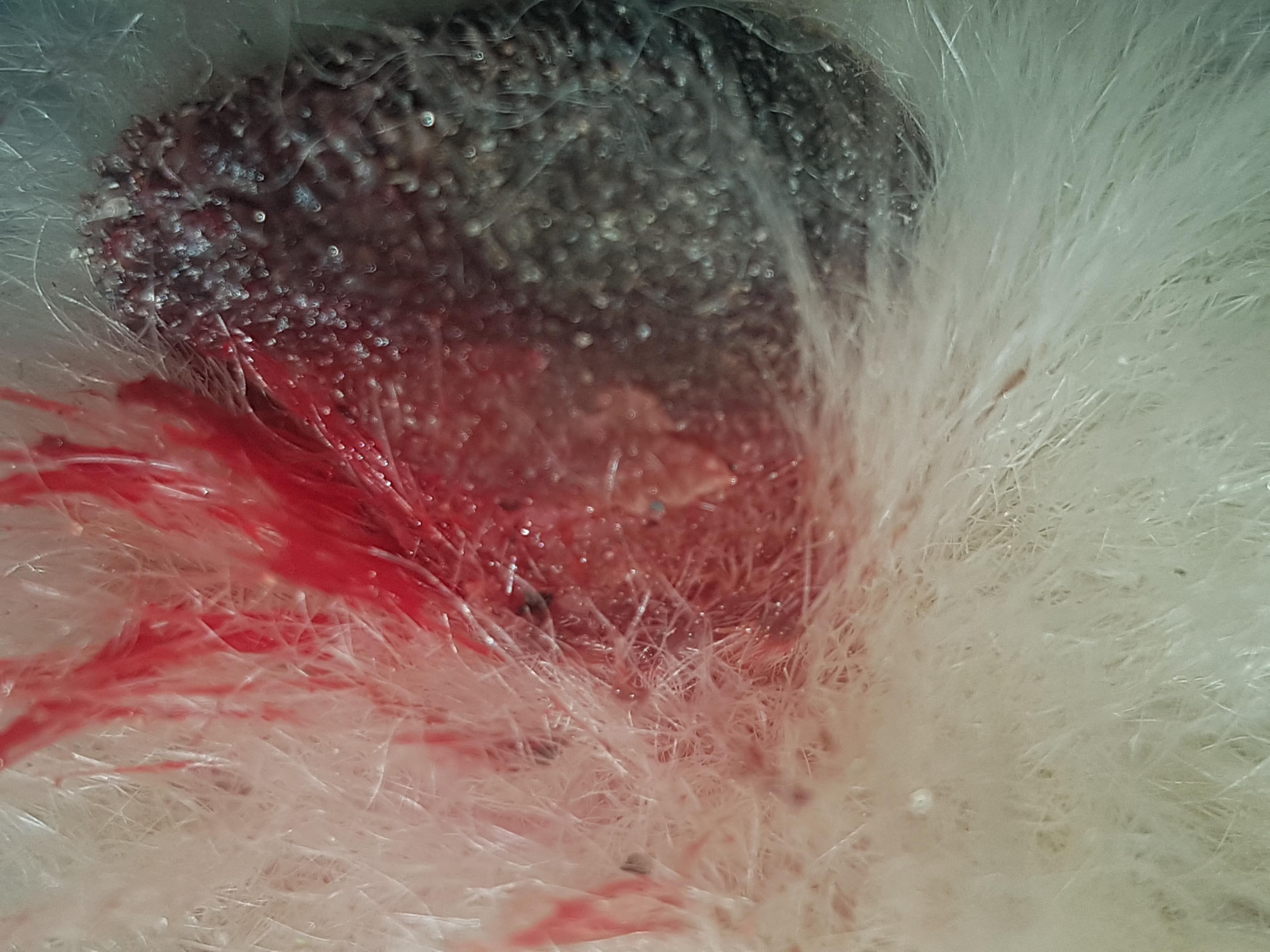 Question details sensitive content