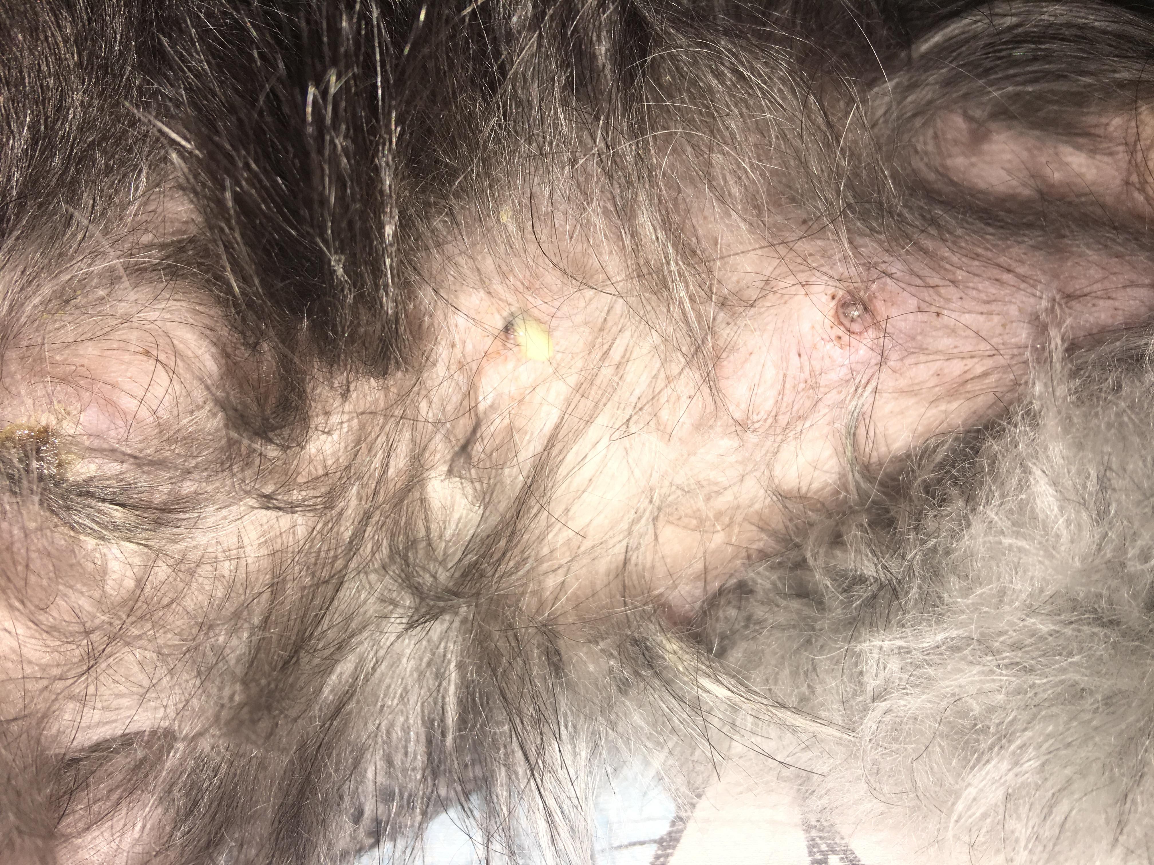 Question details sensitive content