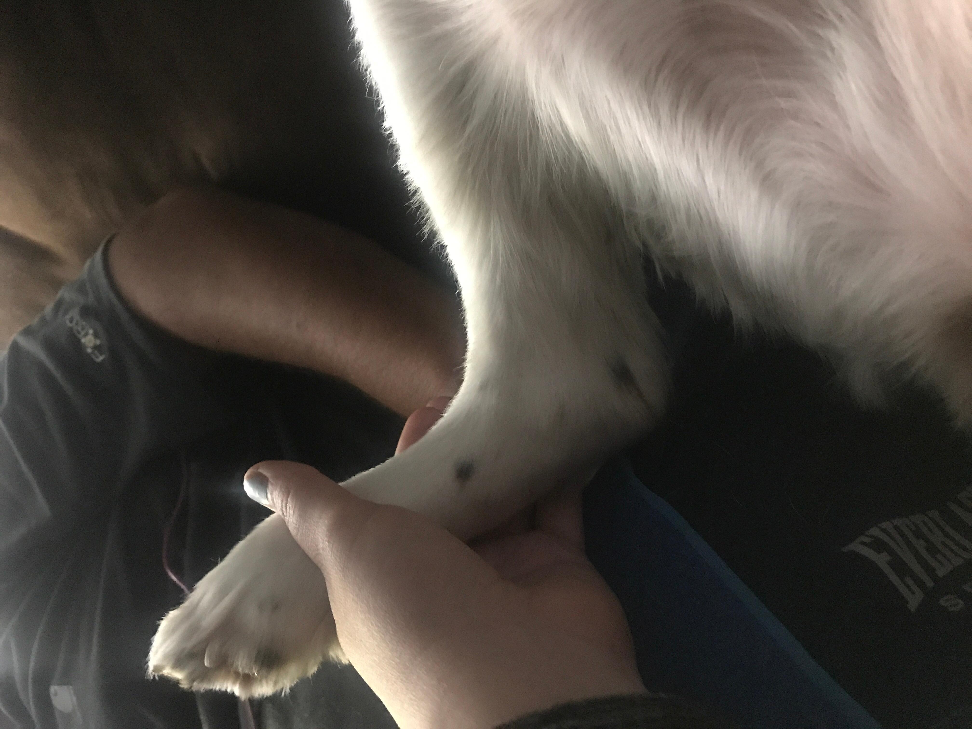 Question details sensitive content