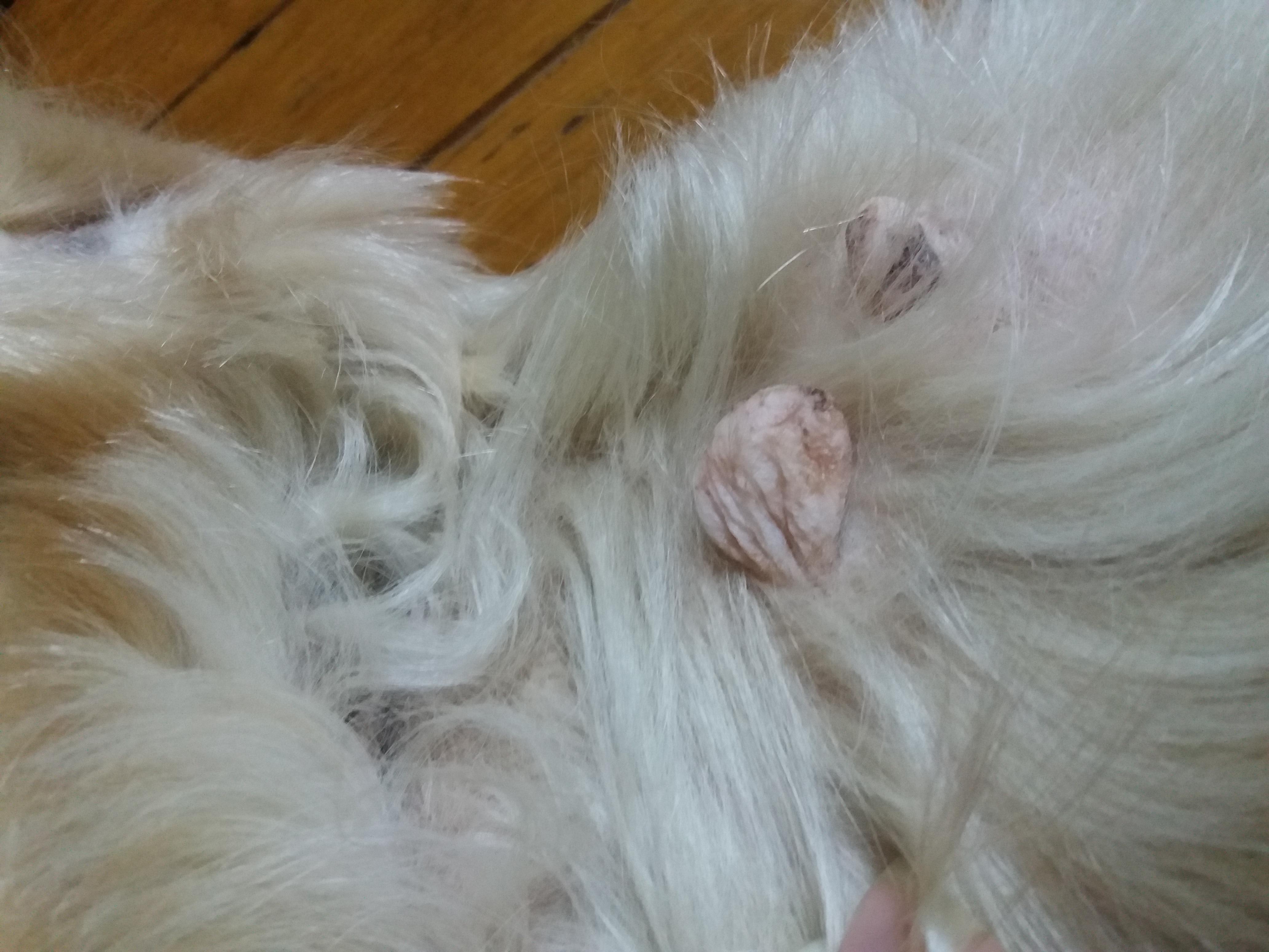 Question details sensitive content