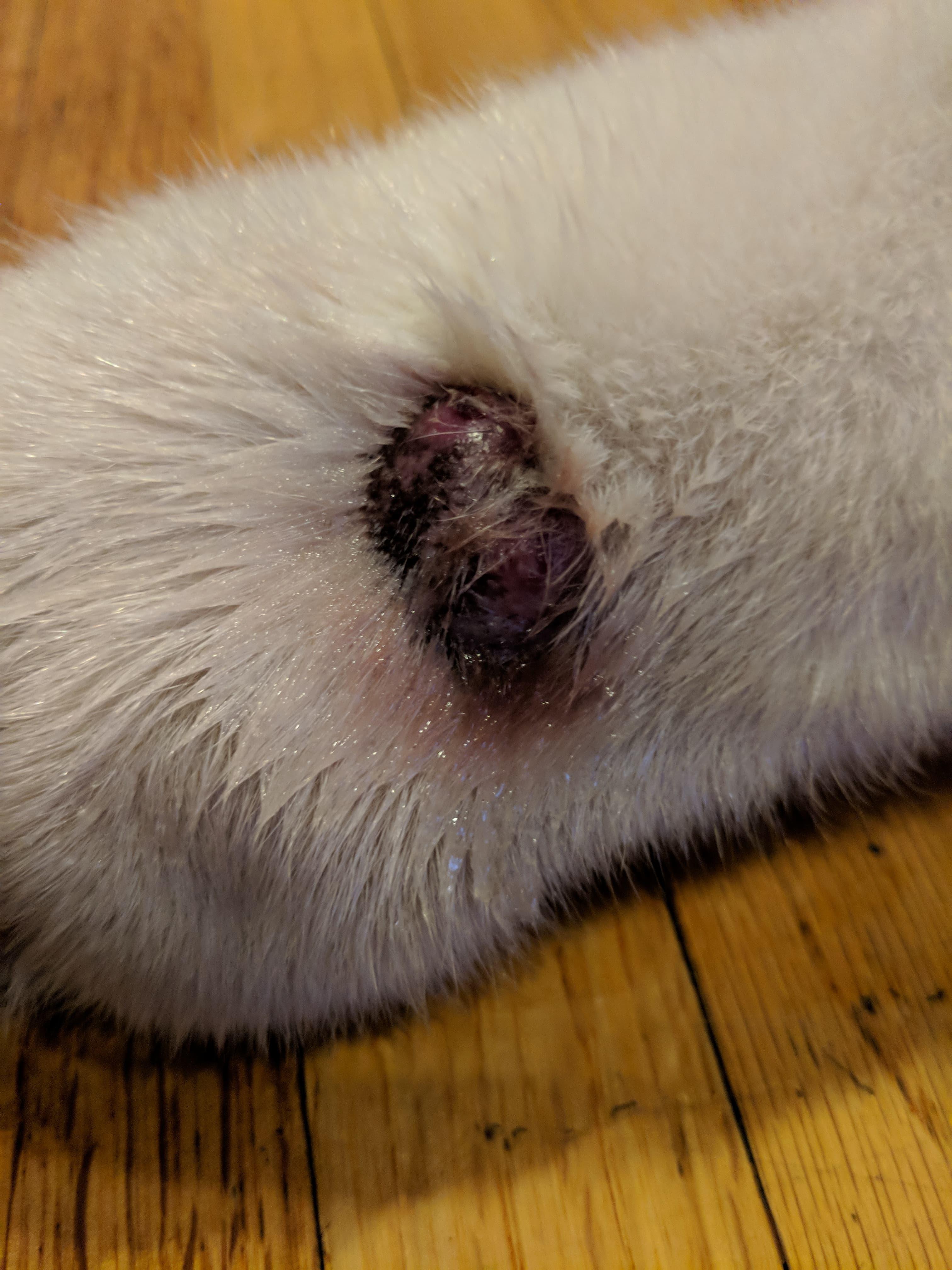 Question details sensitive content