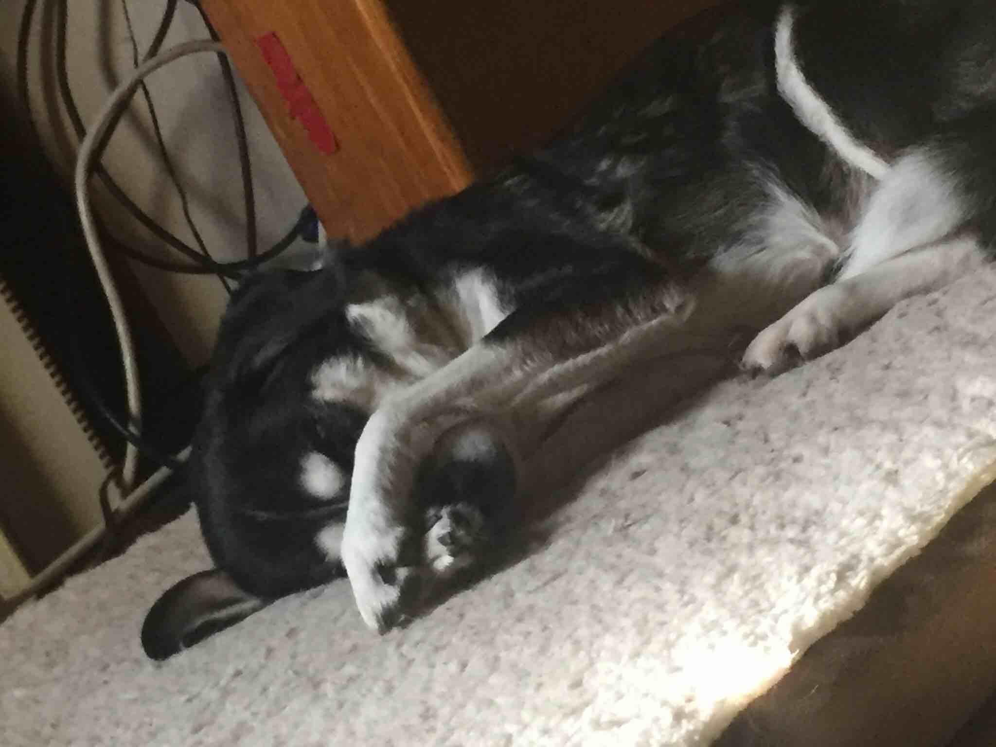 Question details sensitive content