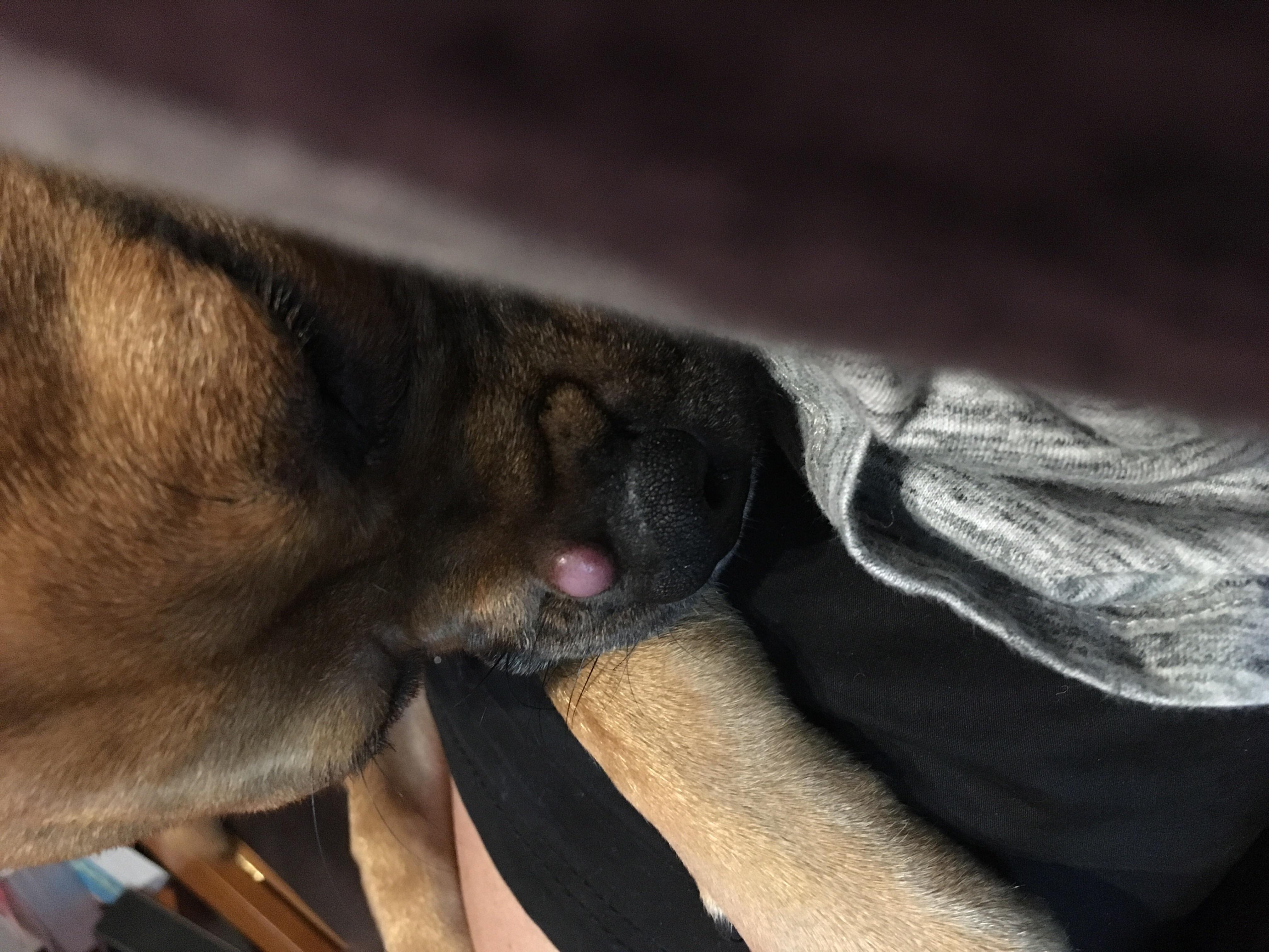 Question details sensitive content